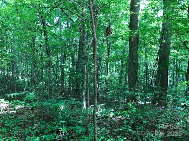 00 Red Oak Lane #Lot #24 - Photo 8