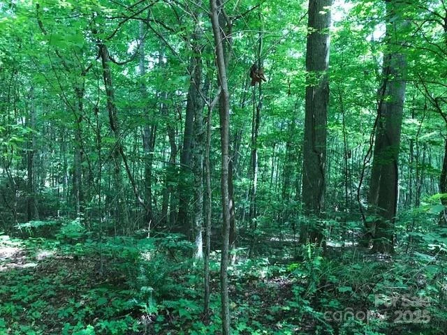 00 Red Oak Lane #Lot #24 - Photo 8
