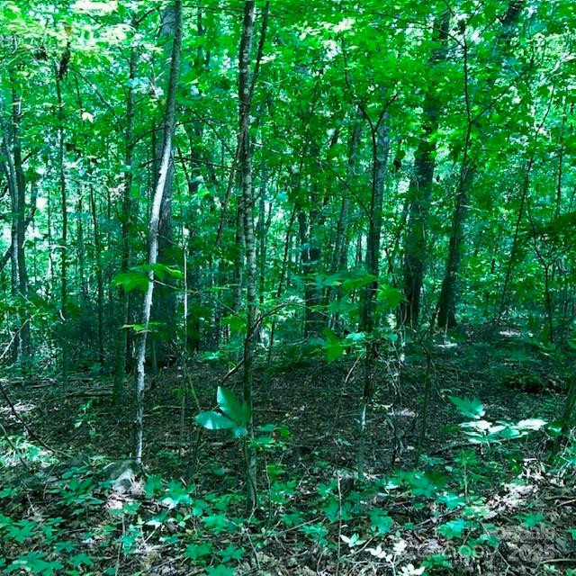 00 Red Oak Lane #Lot #24 - Photo 9