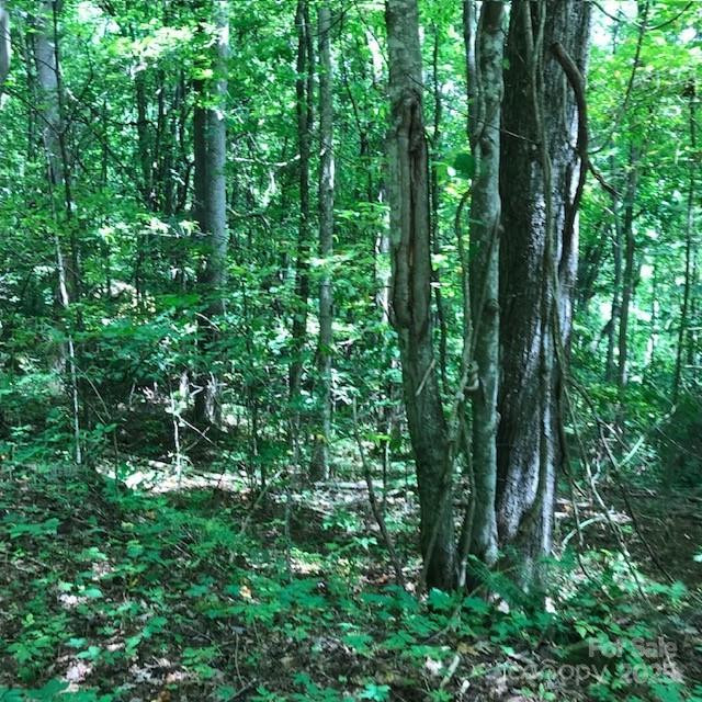 00 Red Oak Lane #Lot #24 - Photo 10