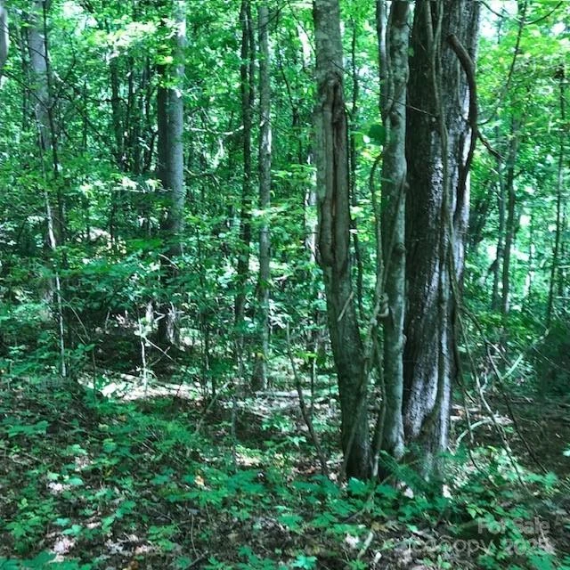 00 Red Oak Lane #Lot #24 - Photo 10