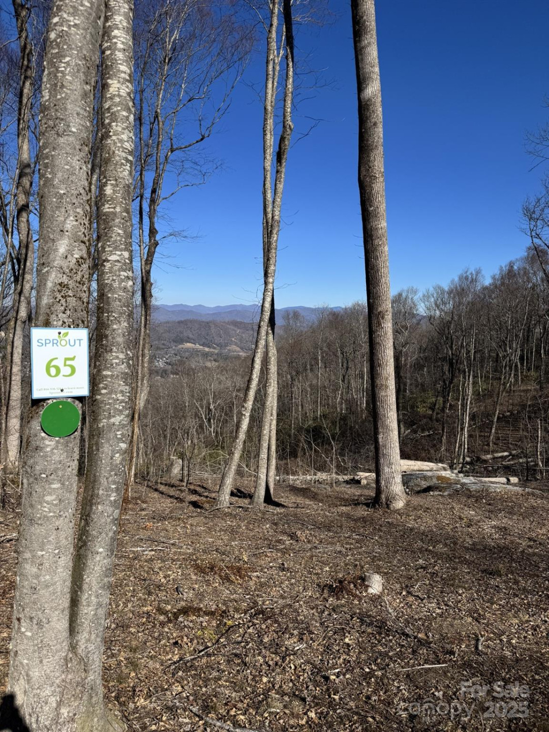 0000 West Garden Trail #Lot 65 - Photo 2