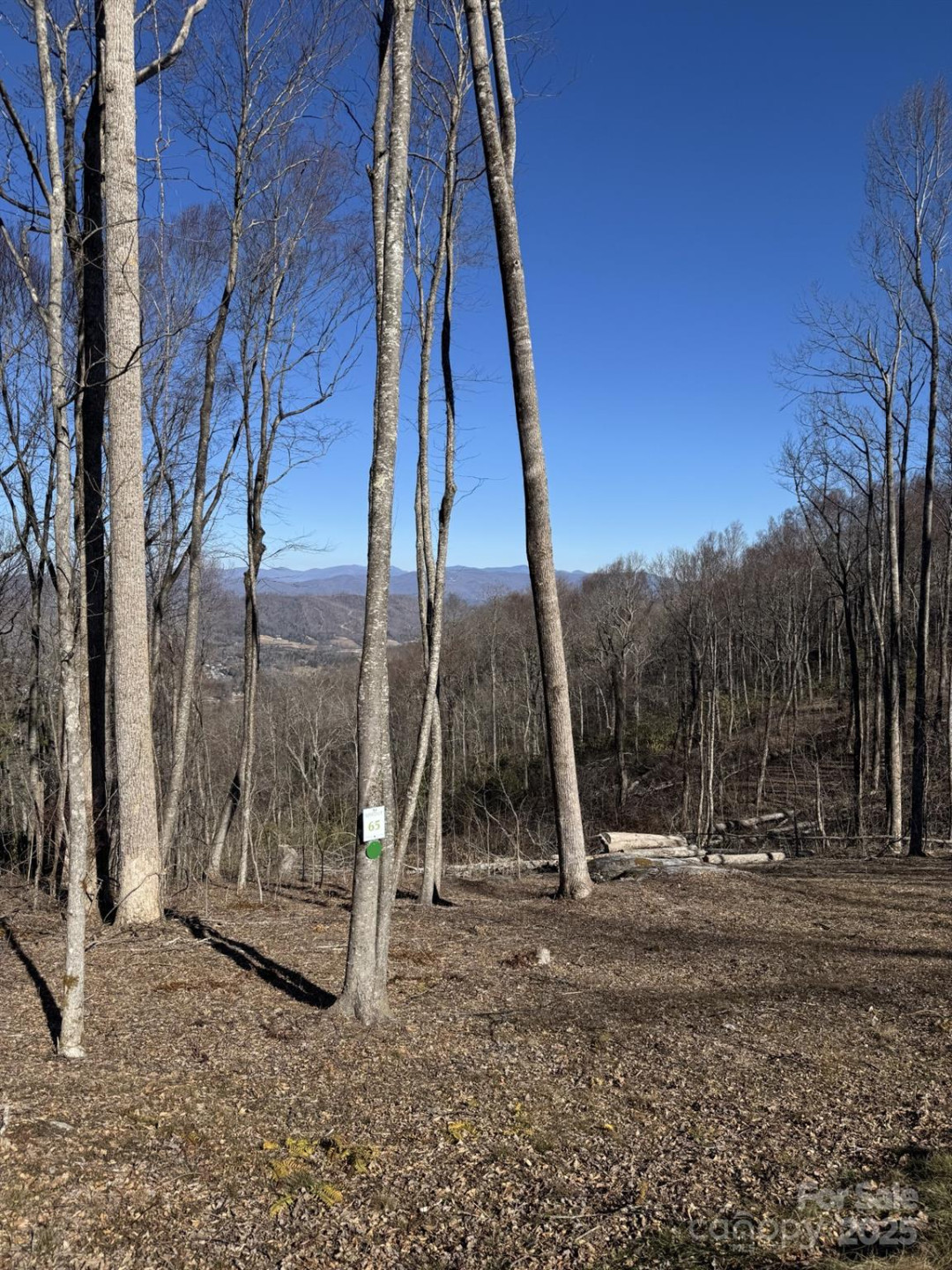 0000 West Garden Trail #Lot 65 - Photo 3
