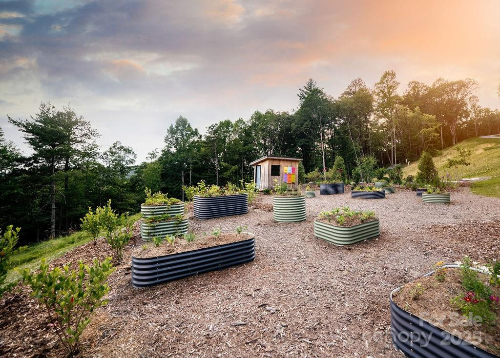 0000 West Garden Trail #Lot 65 - Photo 6