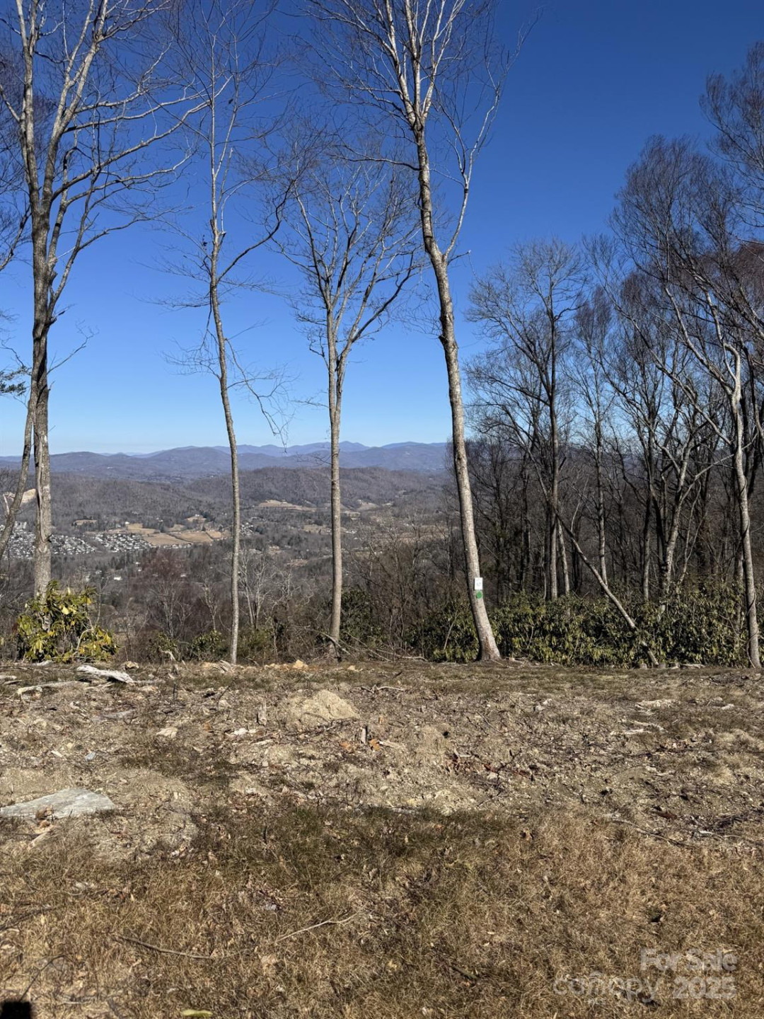 0000 West Garden Trail #Lot 67 - Photo 6