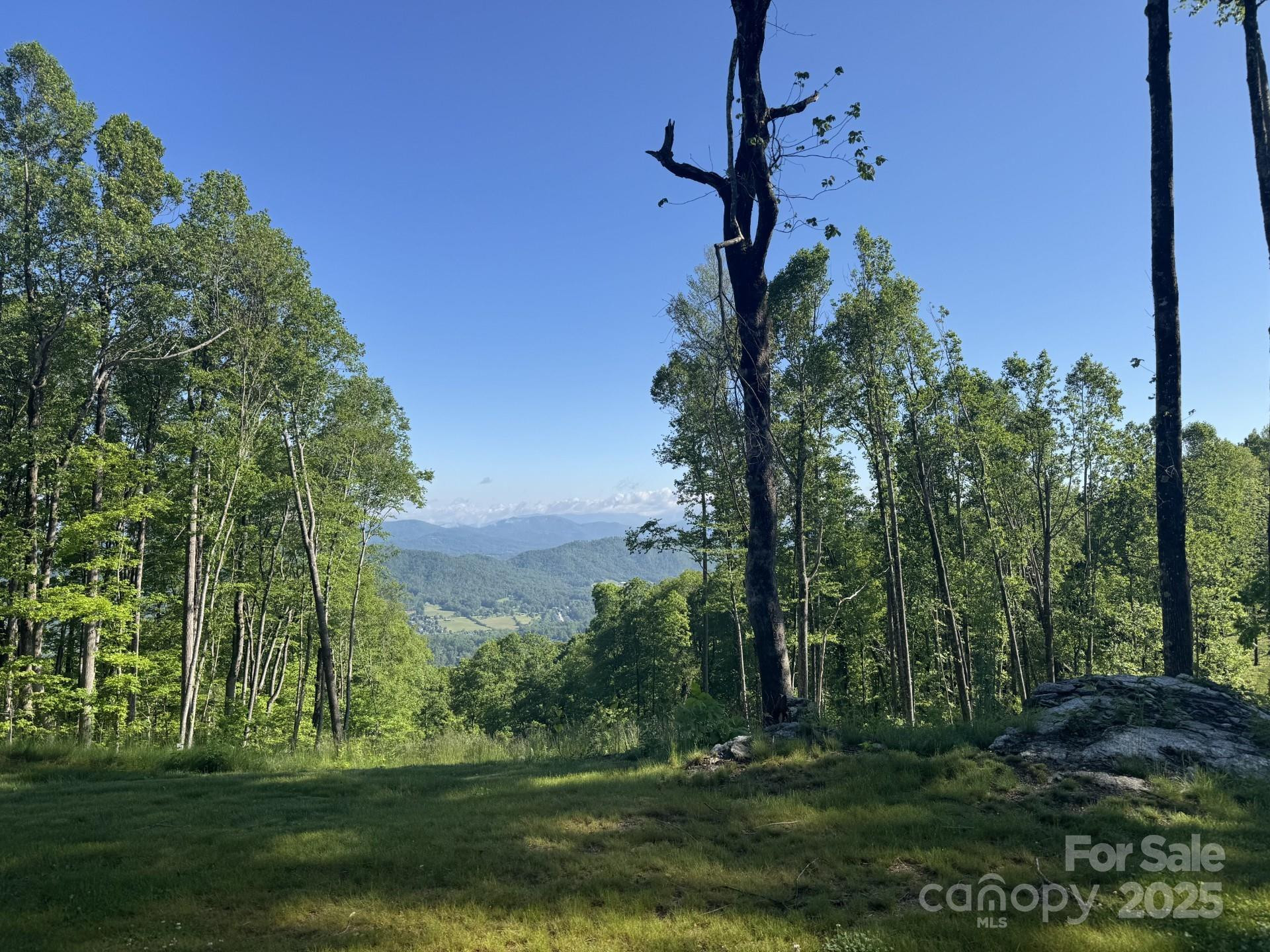 0000 West Garden Trail #Lot 70 - Photo 2