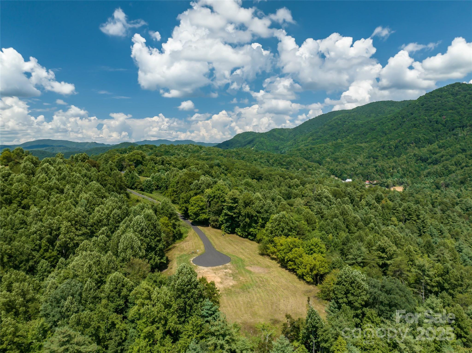 101 Red Maple Run #1 - Photo 3