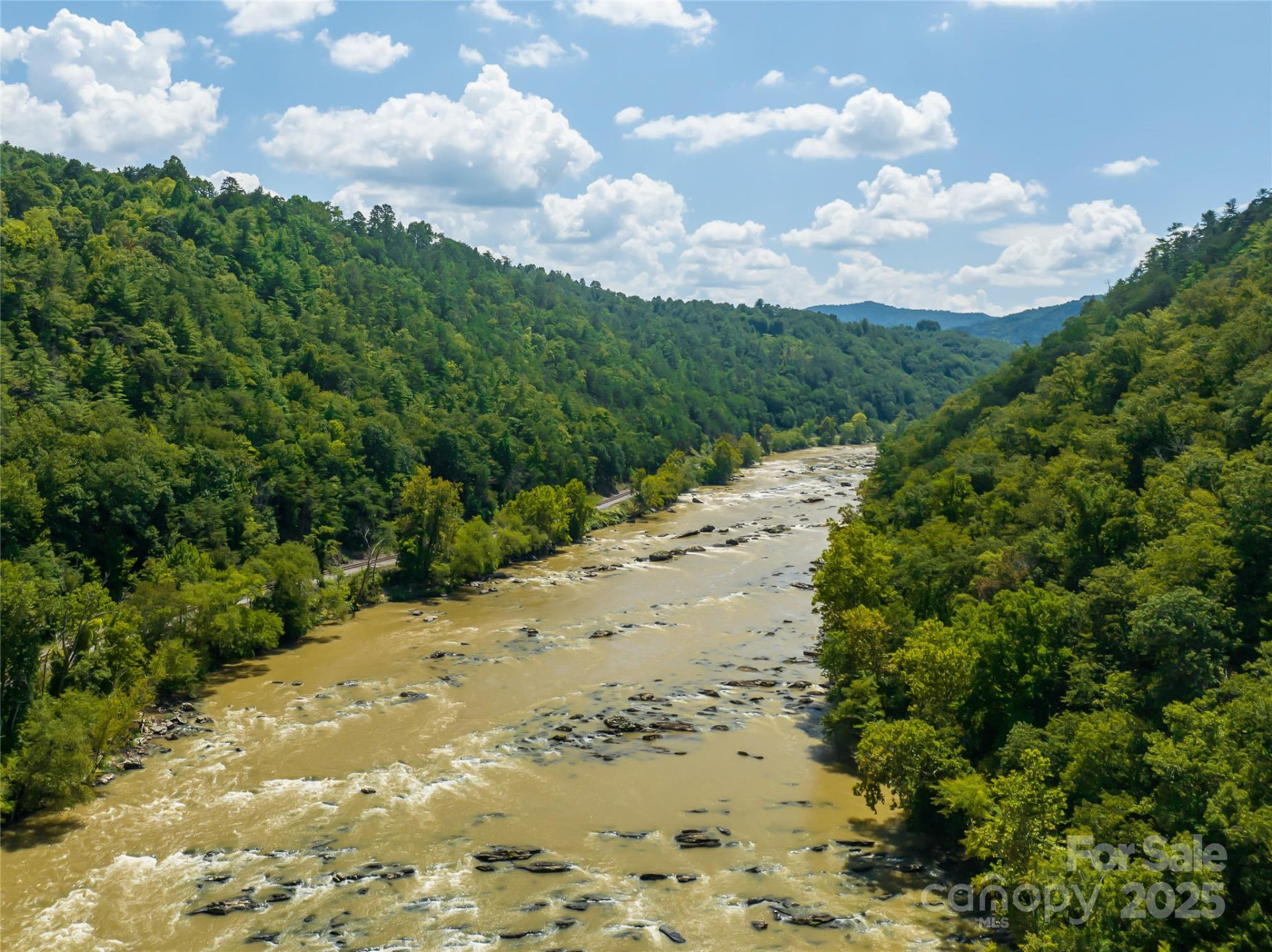 101 Red Maple Run #1 - Photo 22