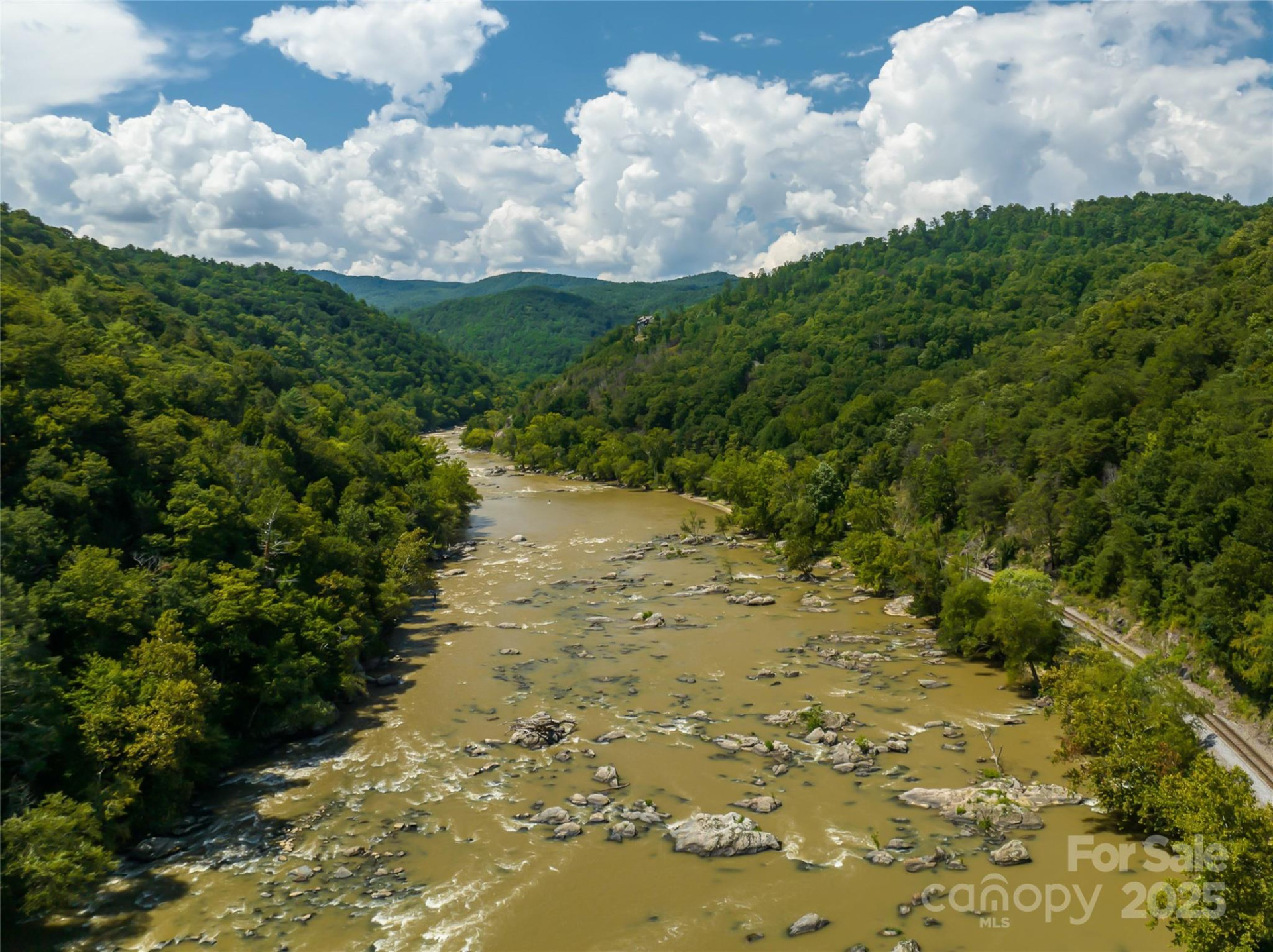 101 Red Maple Run #1 - Photo 23