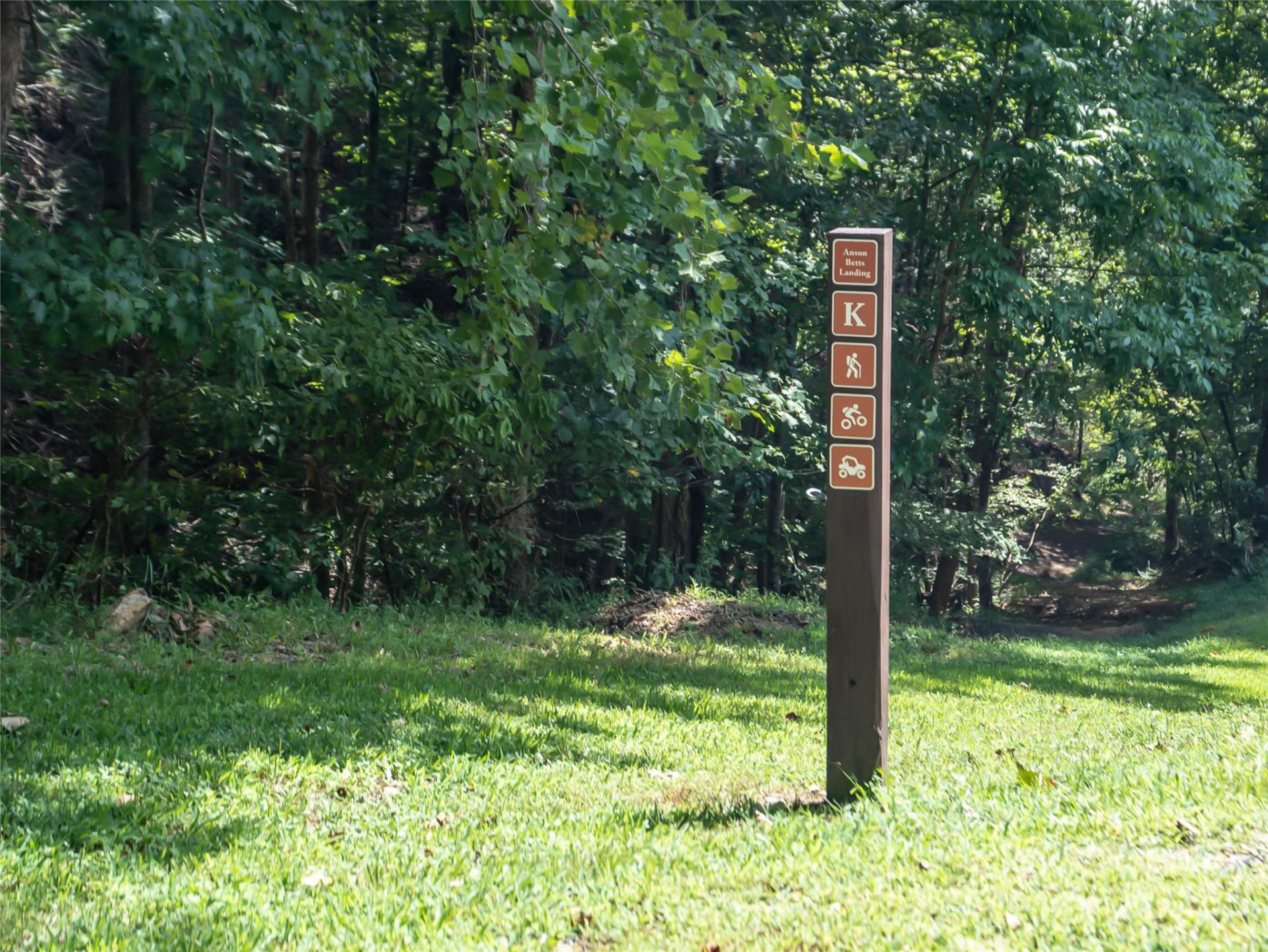 101 Red Maple Run #1 - Photo 30