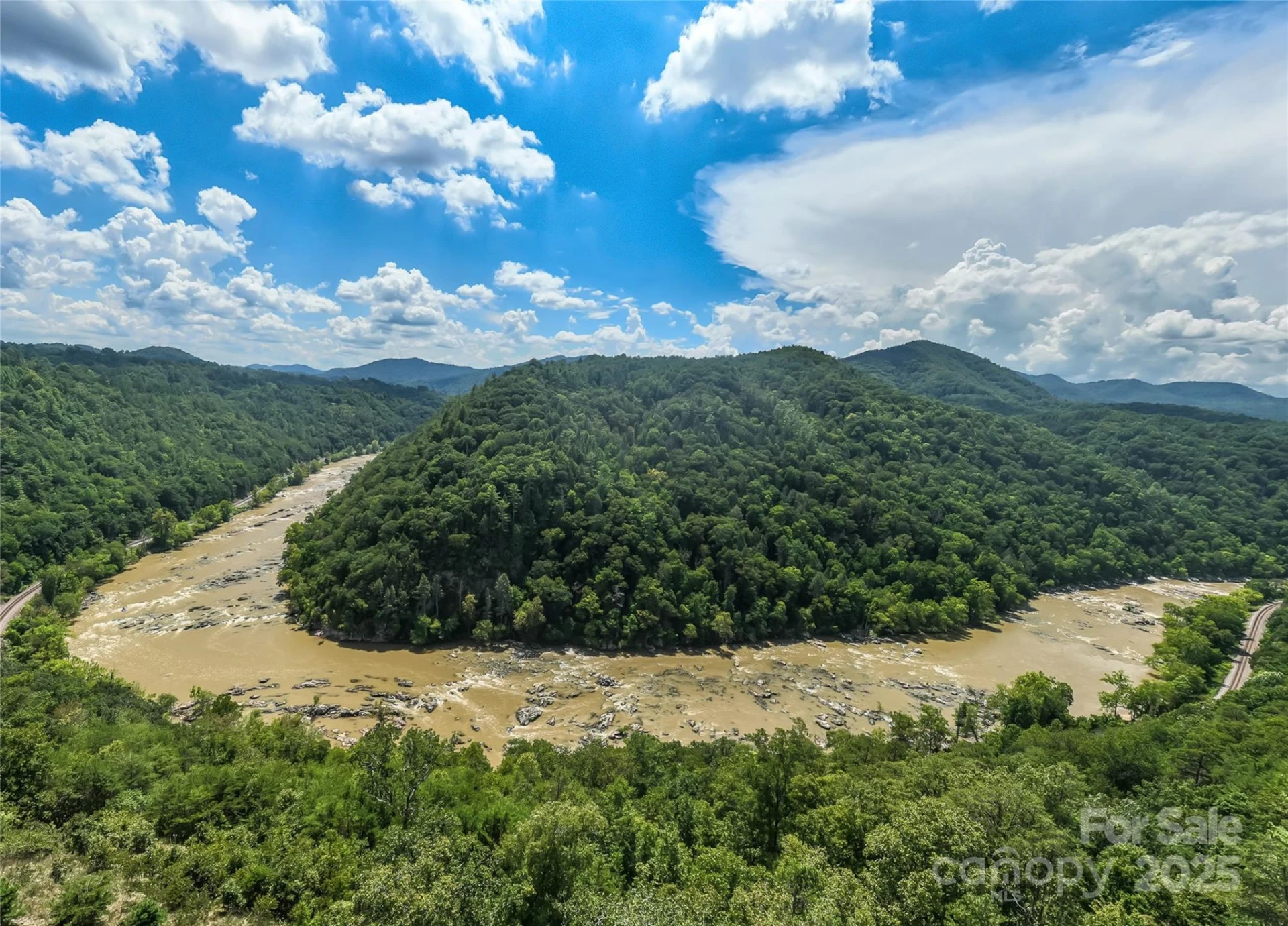 101 Red Maple Run #1 - Photo 4