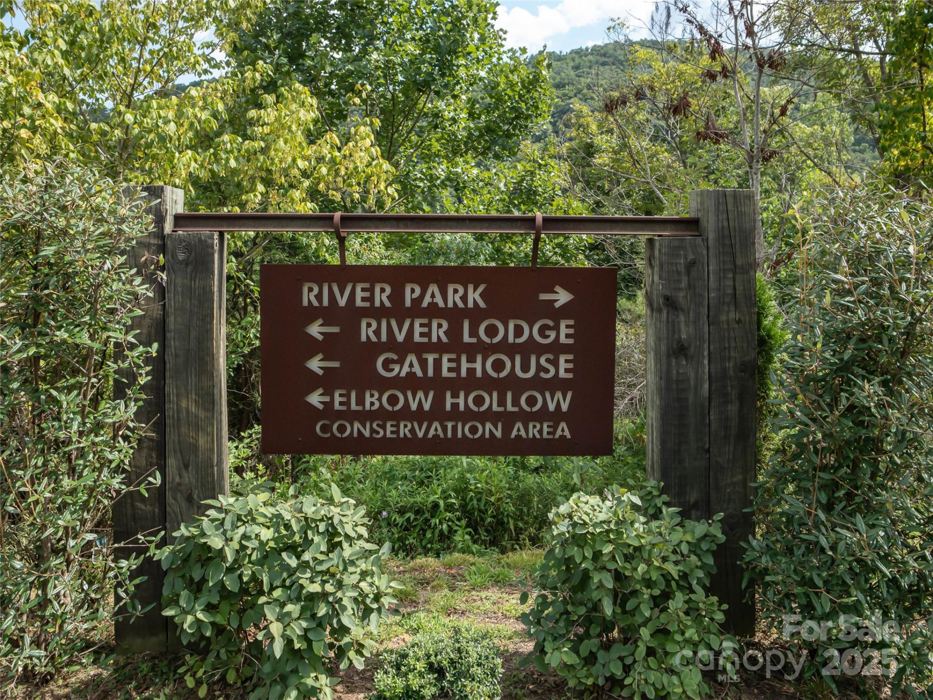 101 Red Maple Run #1 - Photo 35