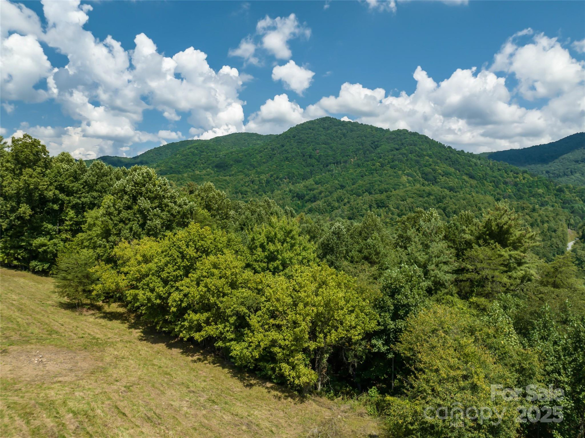 101 Red Maple Run #1 - Photo 39