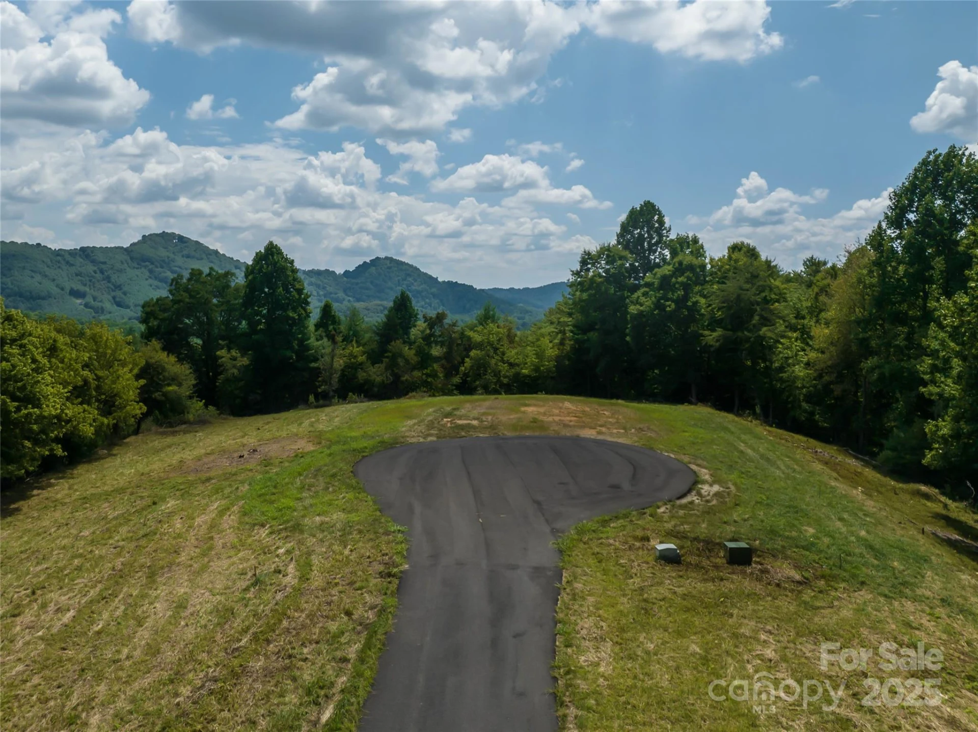 101 Red Maple Run #1 - Photo 5