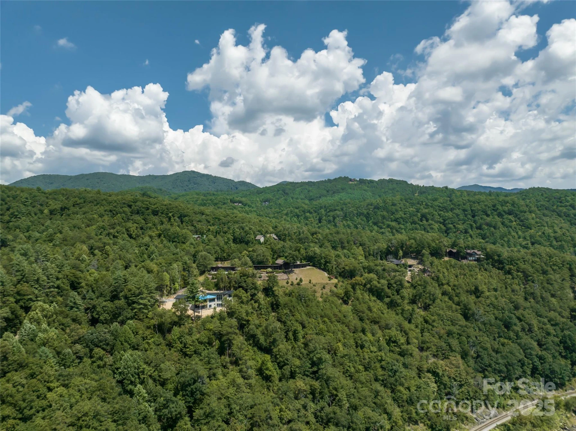 101 Red Maple Run #1 - Photo 41
