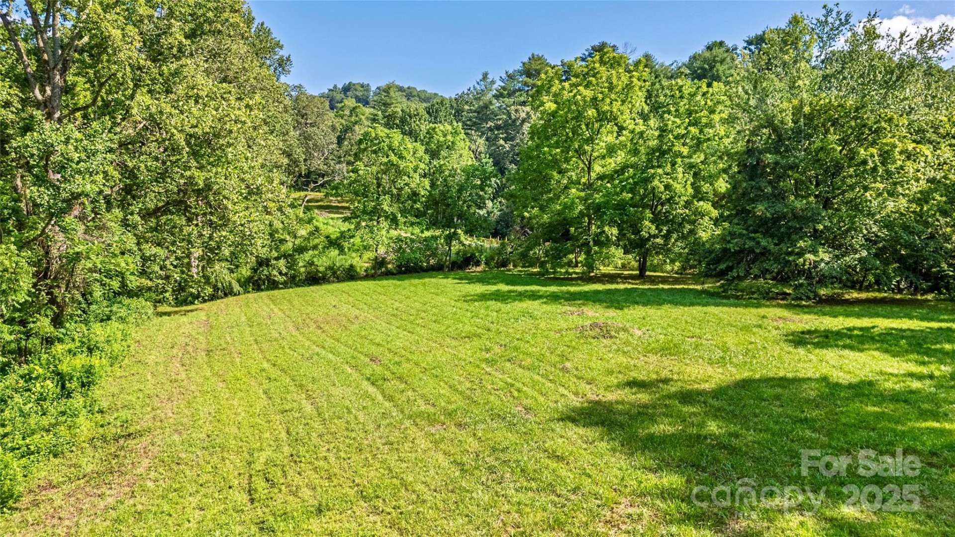 99999 Burney Mountain Road - Photo 2