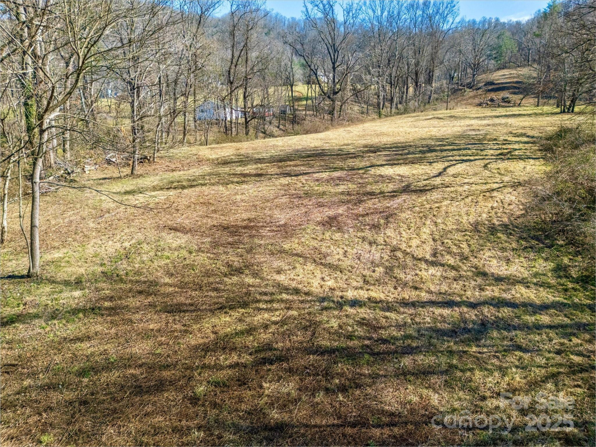 99999 Burney Mountain Road - Photo 13