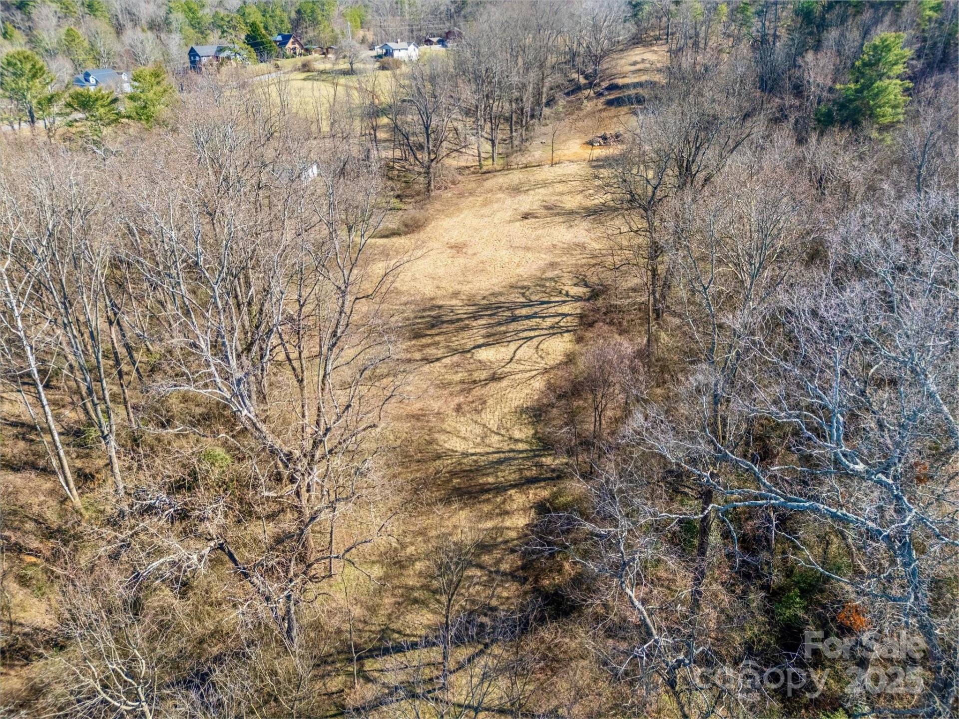 99999 Burney Mountain Road - Photo 14