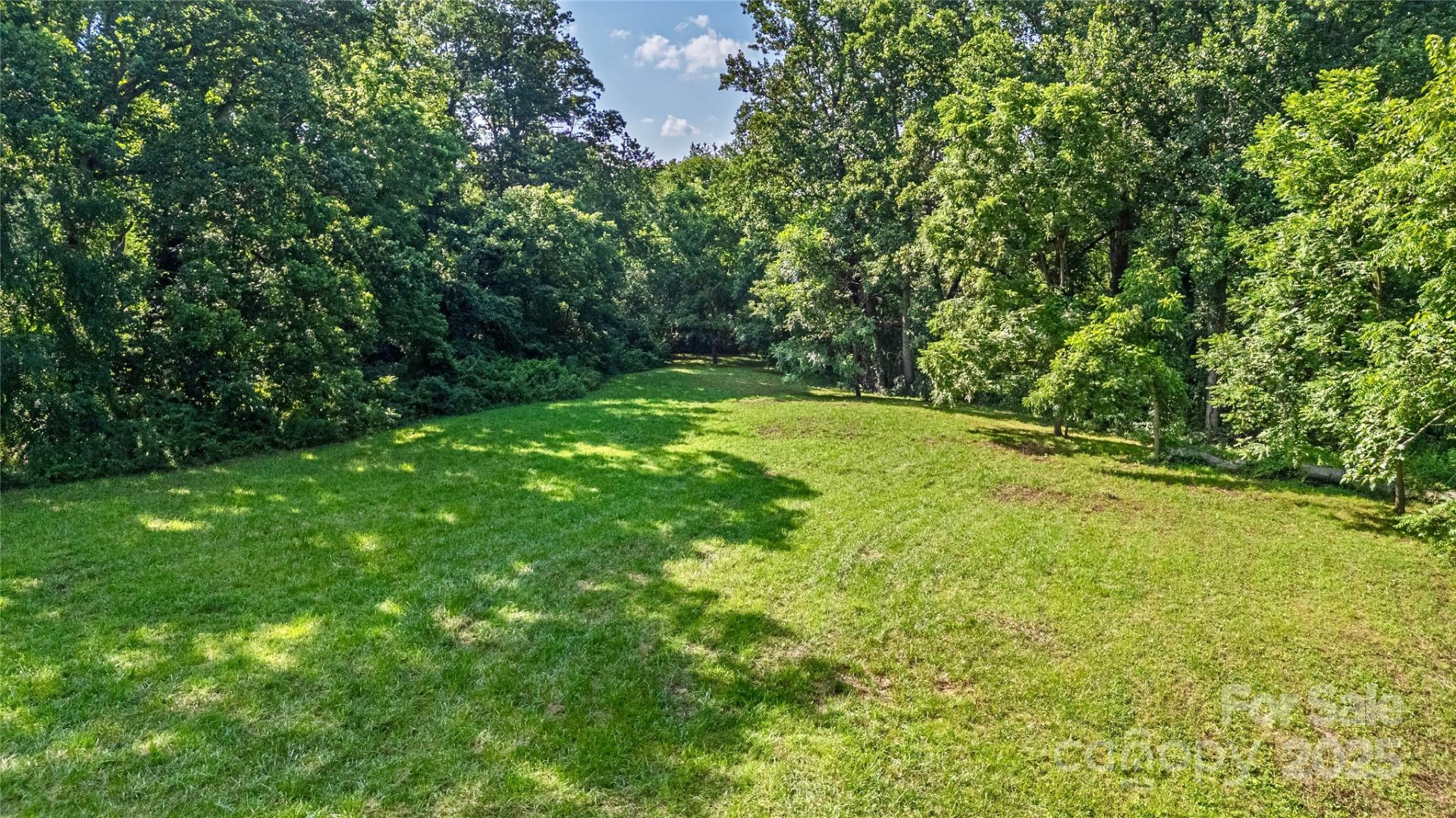 99999 Burney Mountain Road - Photo 4