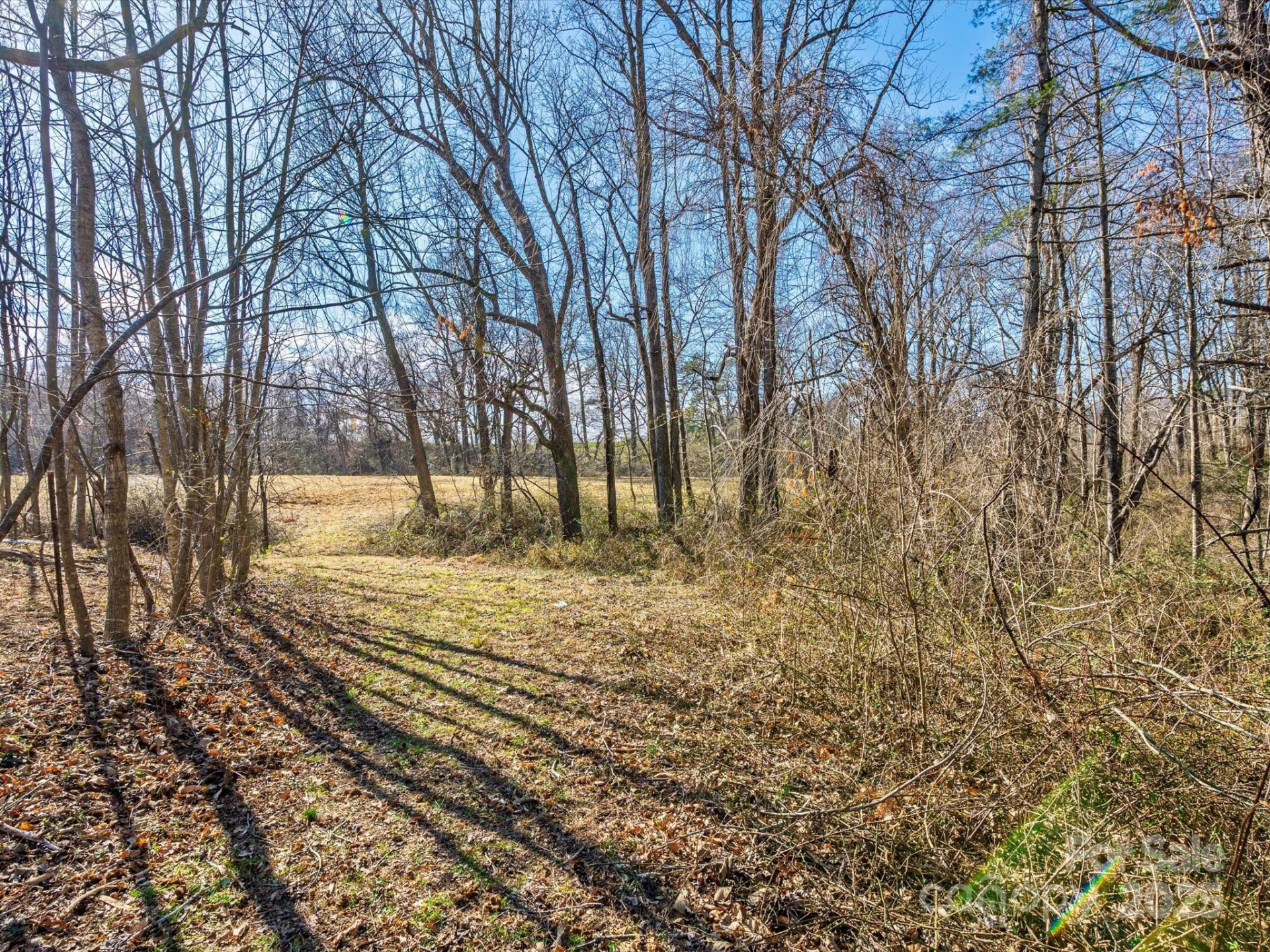 99999 Burney Mountain Road - Photo 32