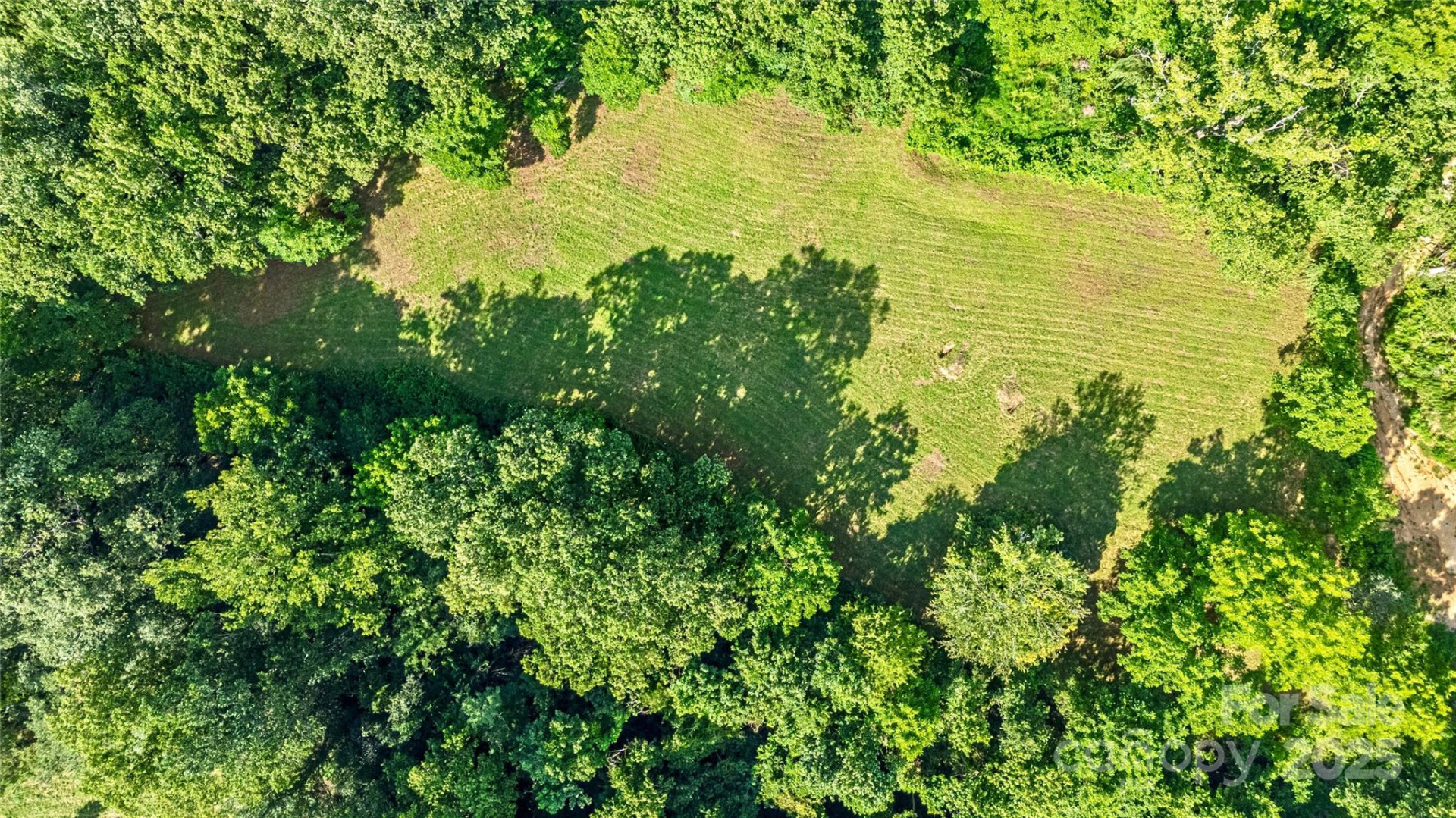 99999 Burney Mountain Road - Photo 5