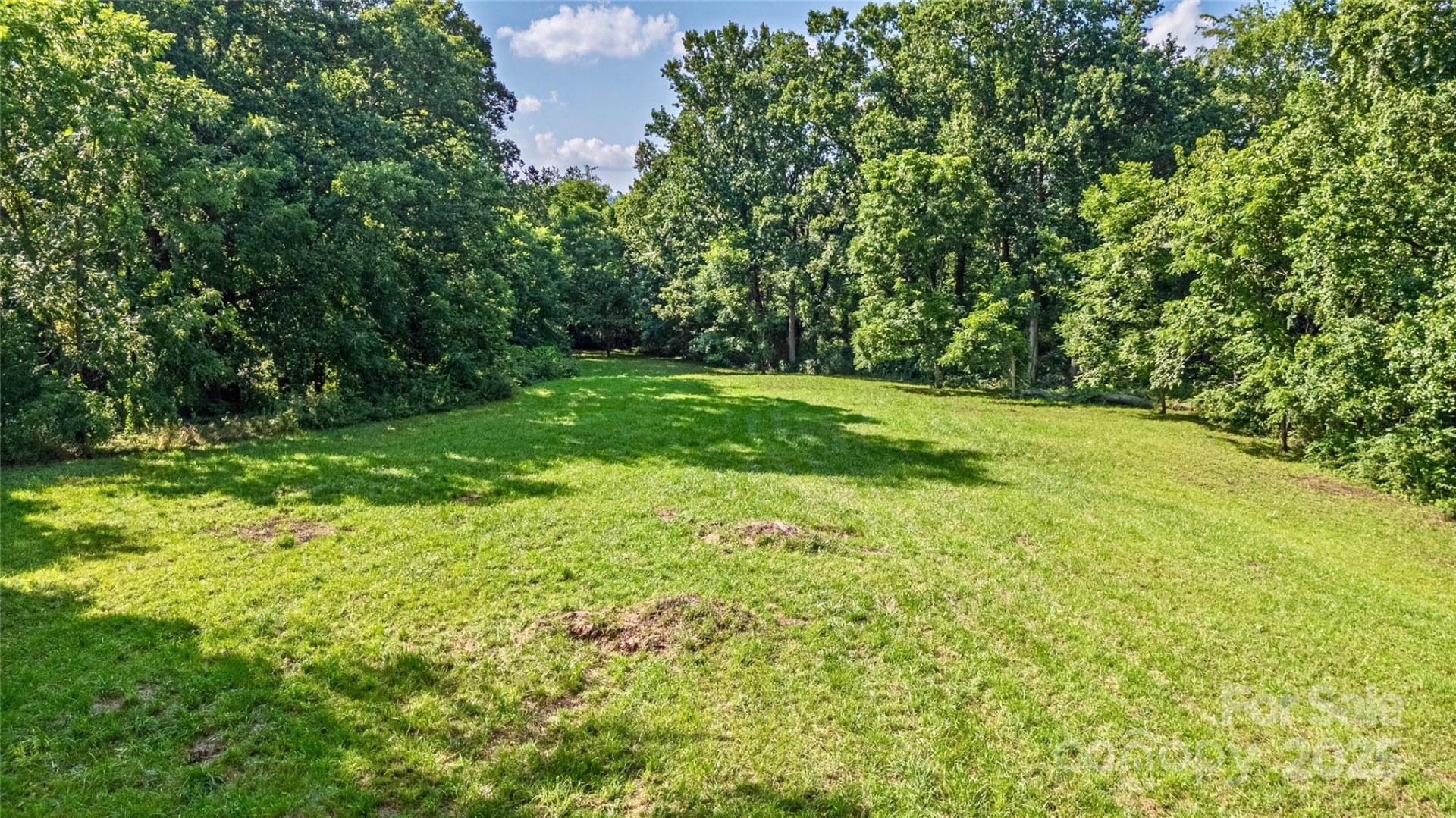 99999 Burney Mountain Road - Photo 6