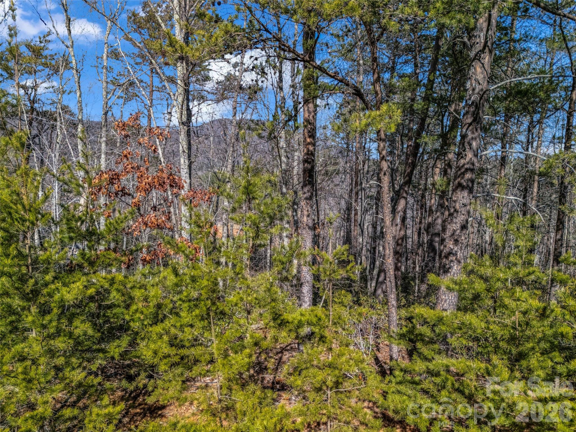 2002 Deep Gap Farm Road - Photo 21