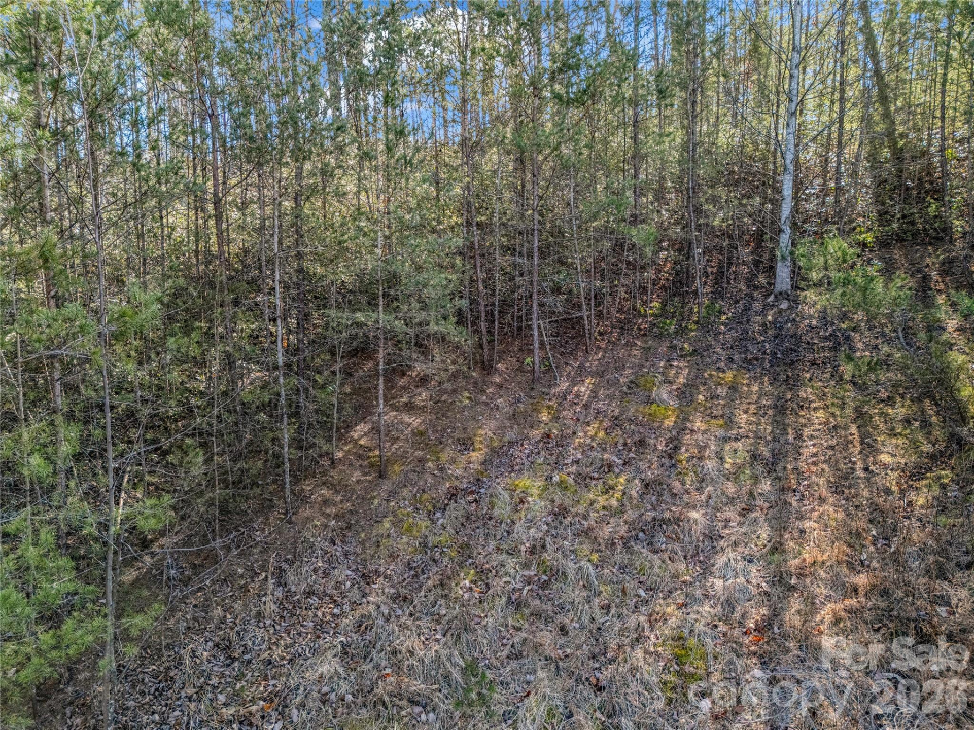 2002 Deep Gap Farm Road - Photo 22