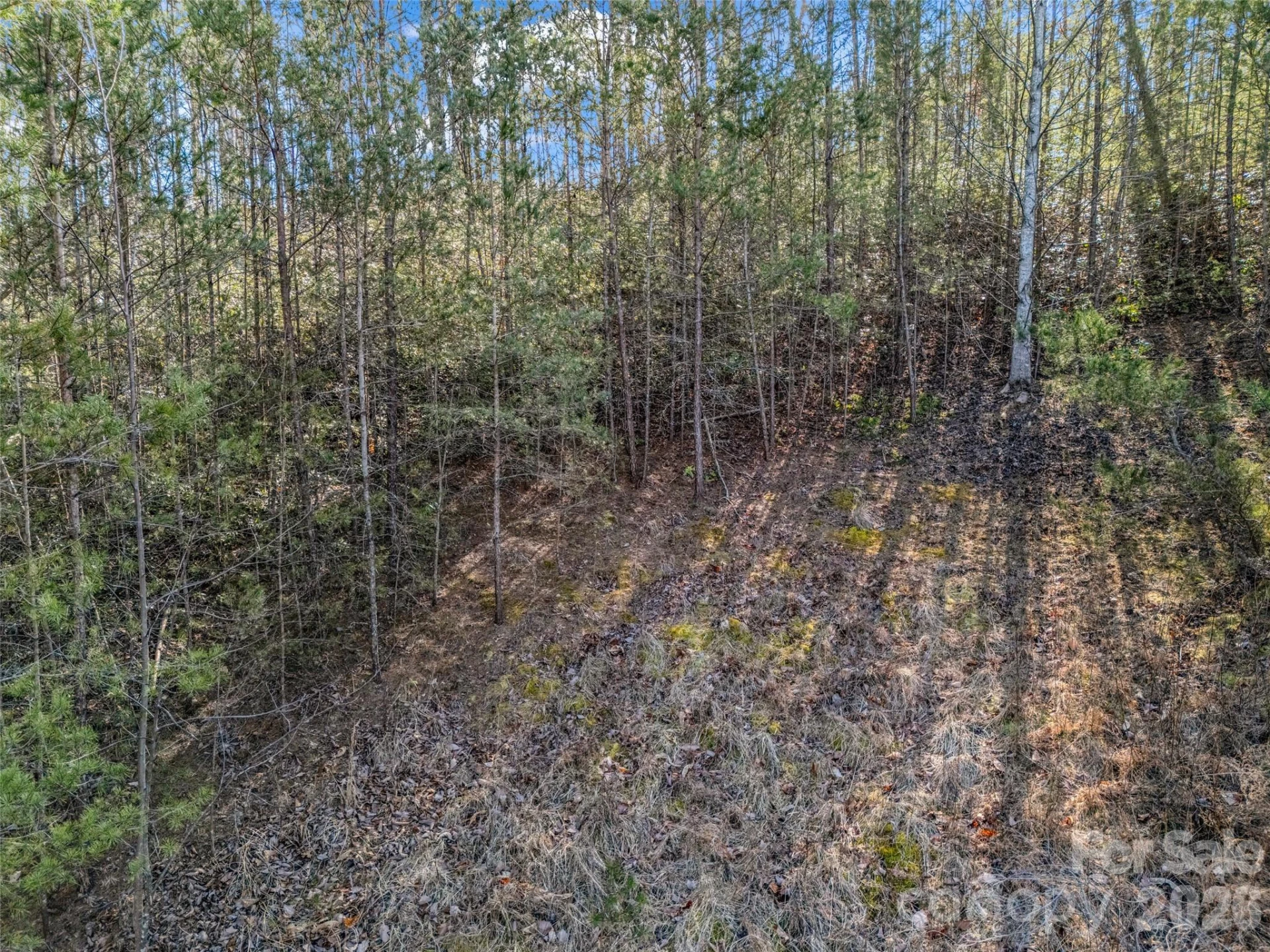 2002 Deep Gap Farm Road - Photo 22