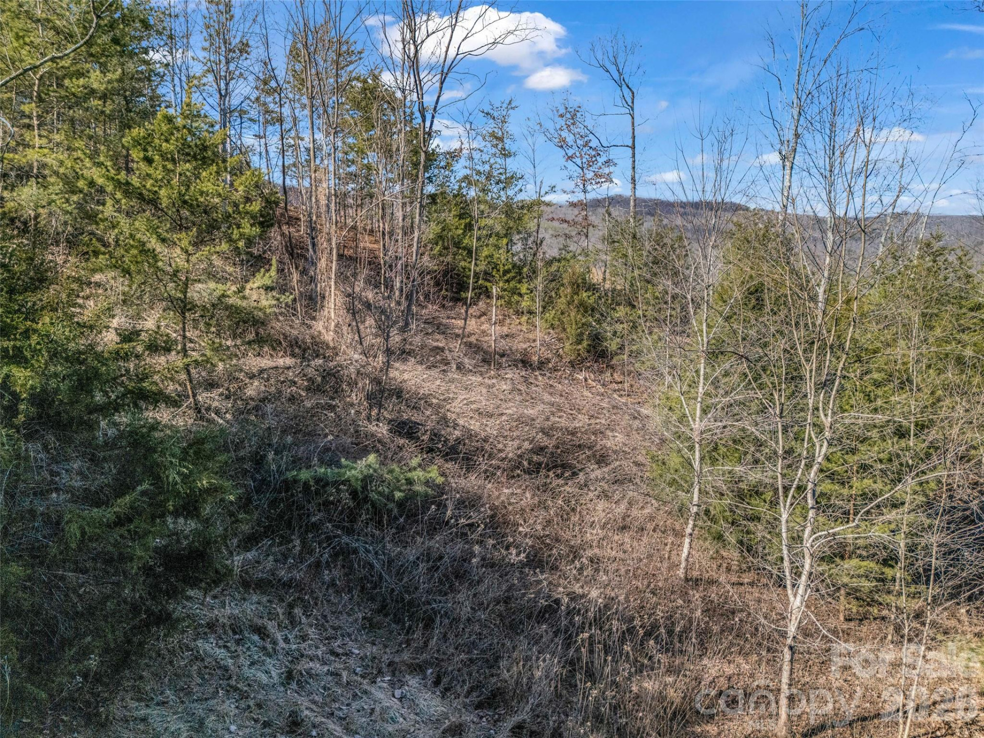 2002 Deep Gap Farm Road - Photo 23