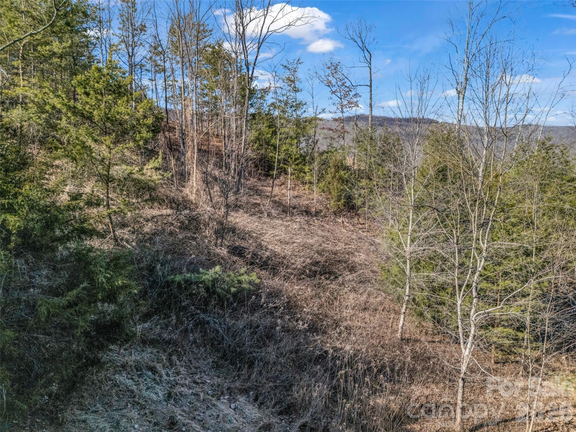 2002 Deep Gap Farm Road - Photo 23
