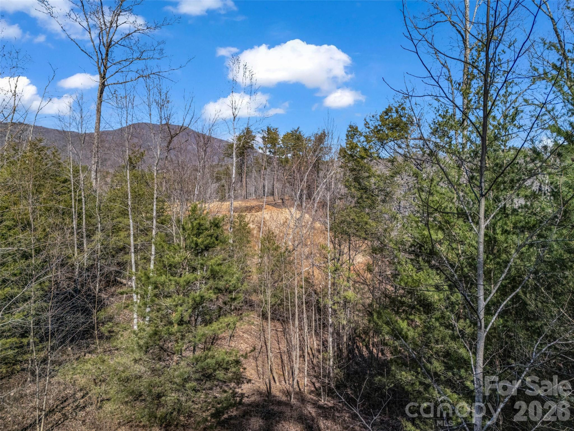 2002 Deep Gap Farm Road - Photo 24