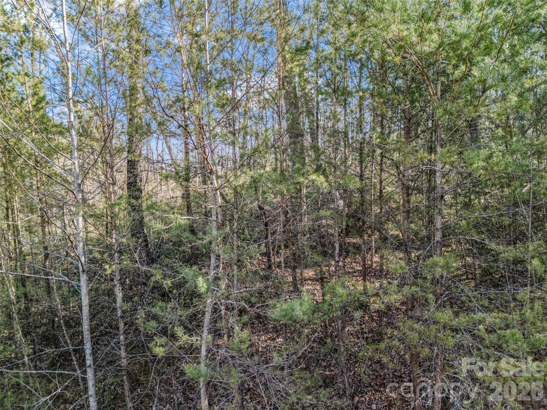 2002 Deep Gap Farm Road - Photo 25