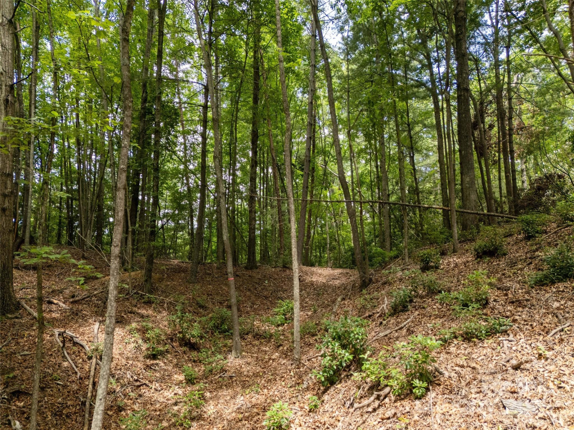 99999 Locust Knoll Lane - Photo 11