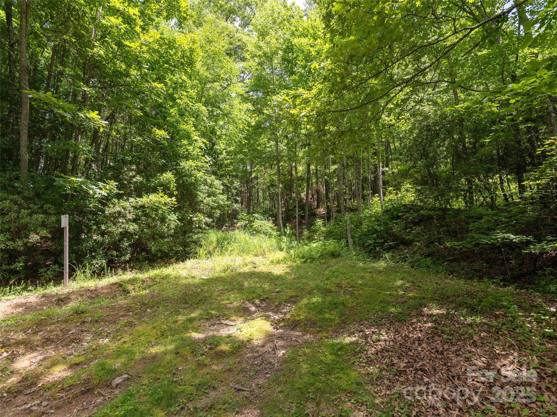 99999 Locust Knoll Lane - Photo 6