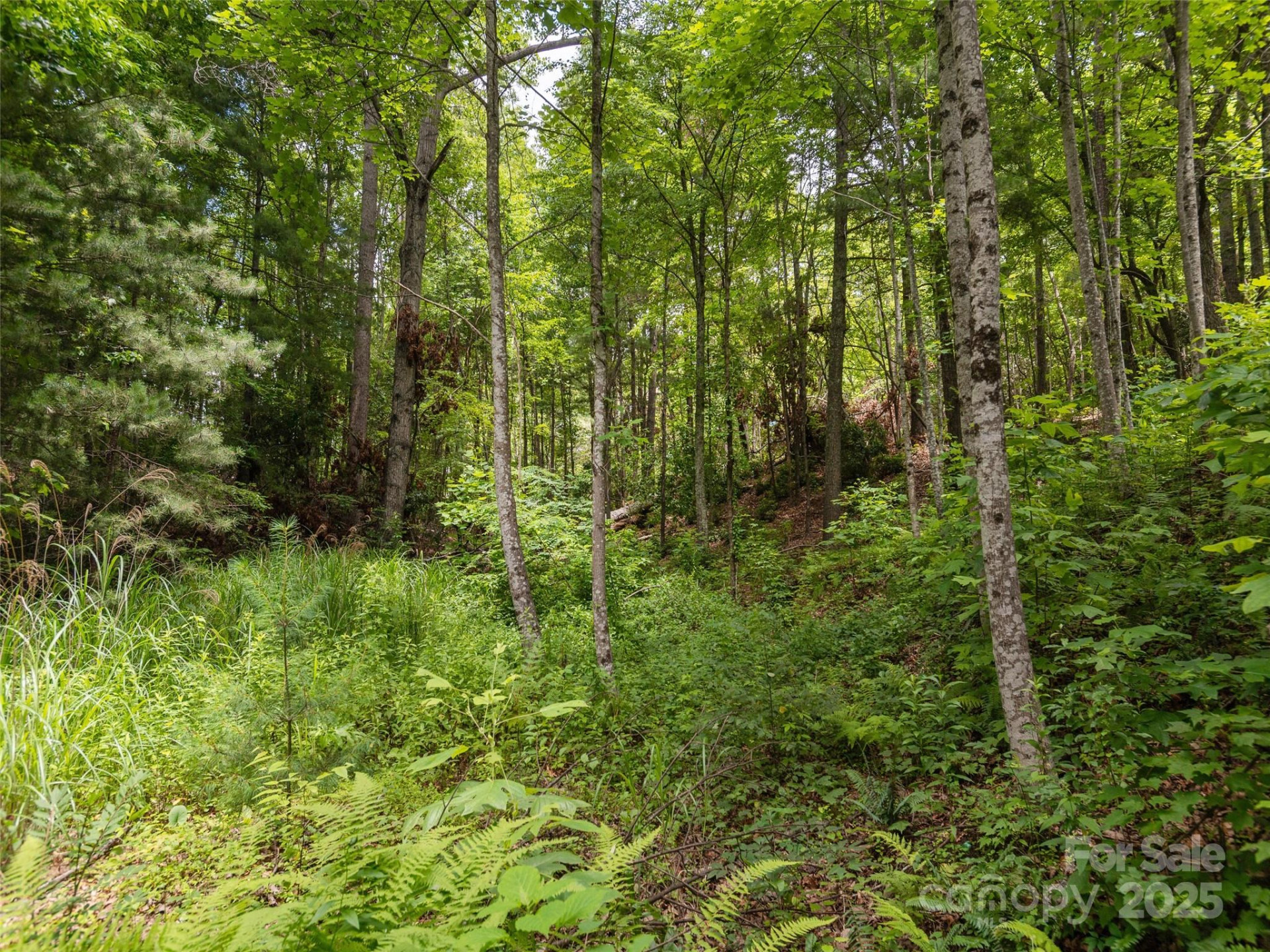 99999 Locust Knoll Lane - Photo 7