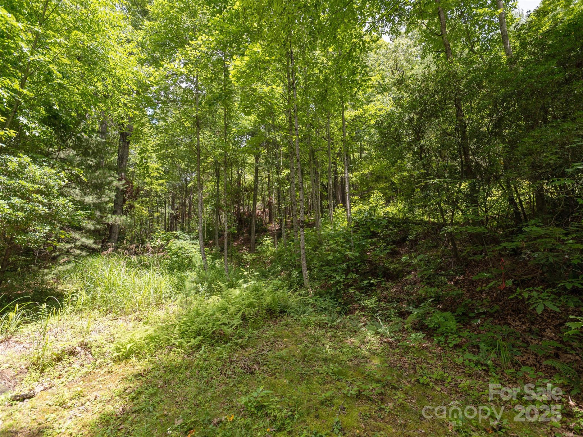99999 Locust Knoll Lane - Photo 8