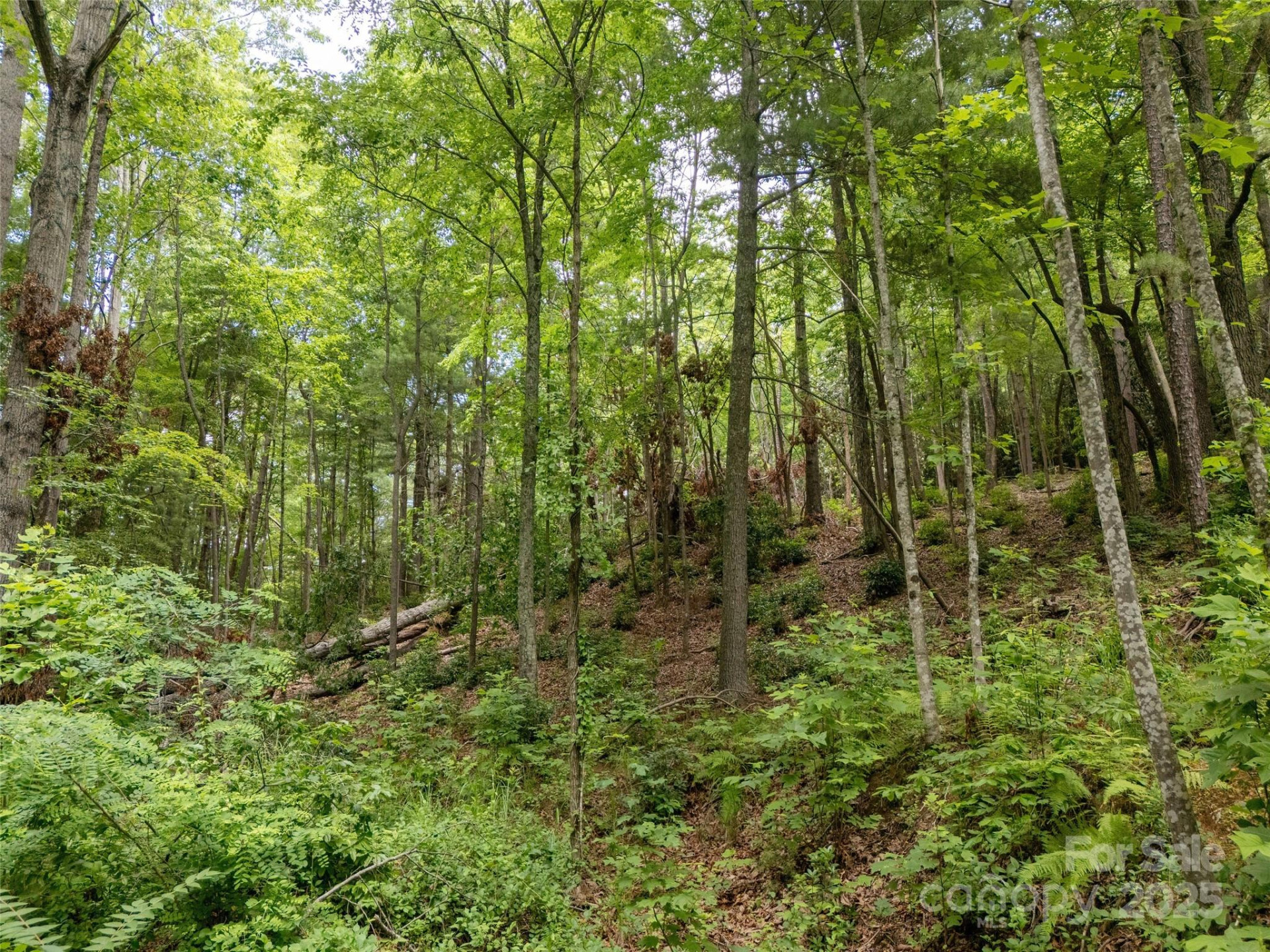 99999 Locust Knoll Lane - Photo 9