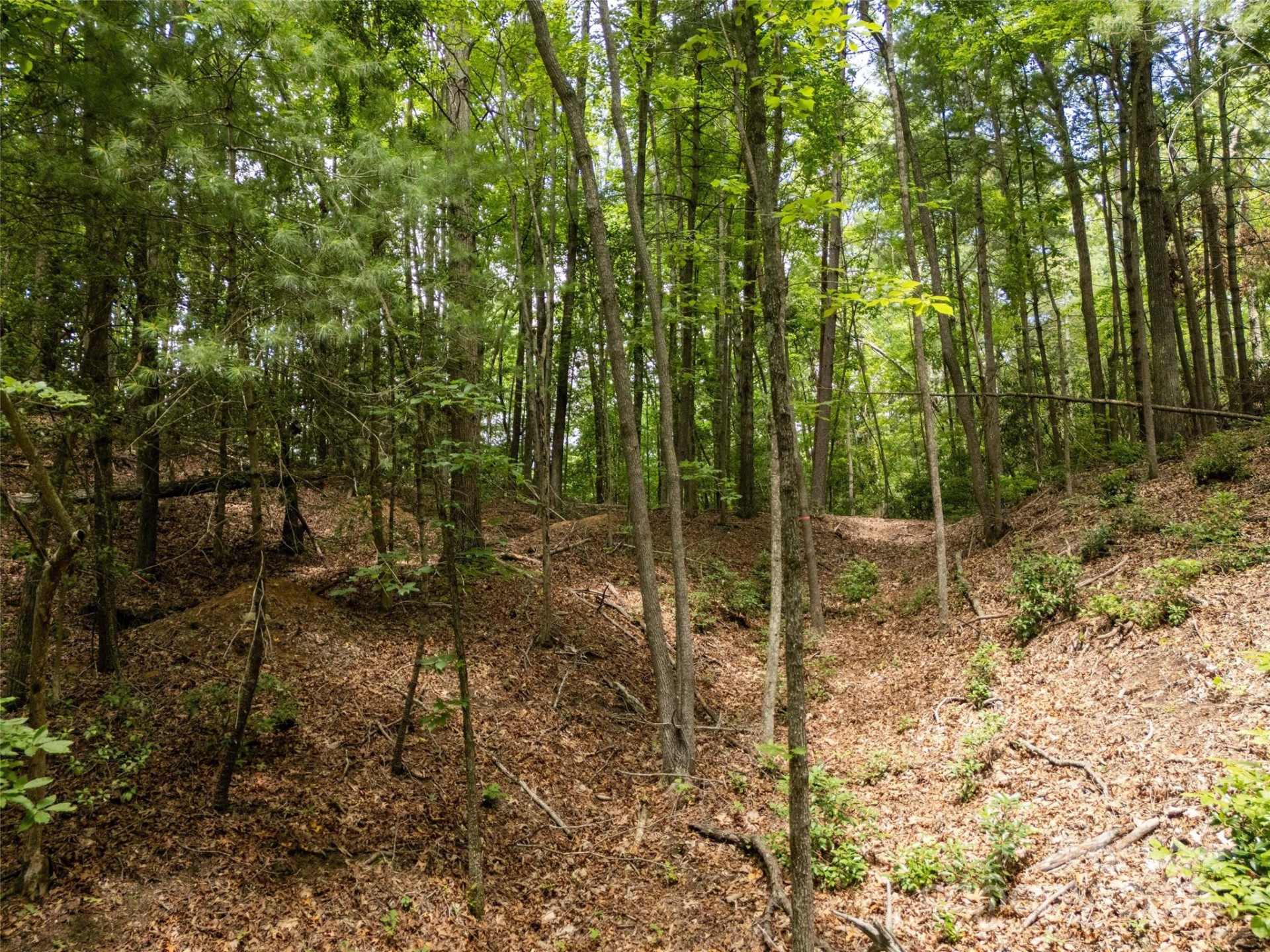 99999 Locust Knoll Lane - Photo 10