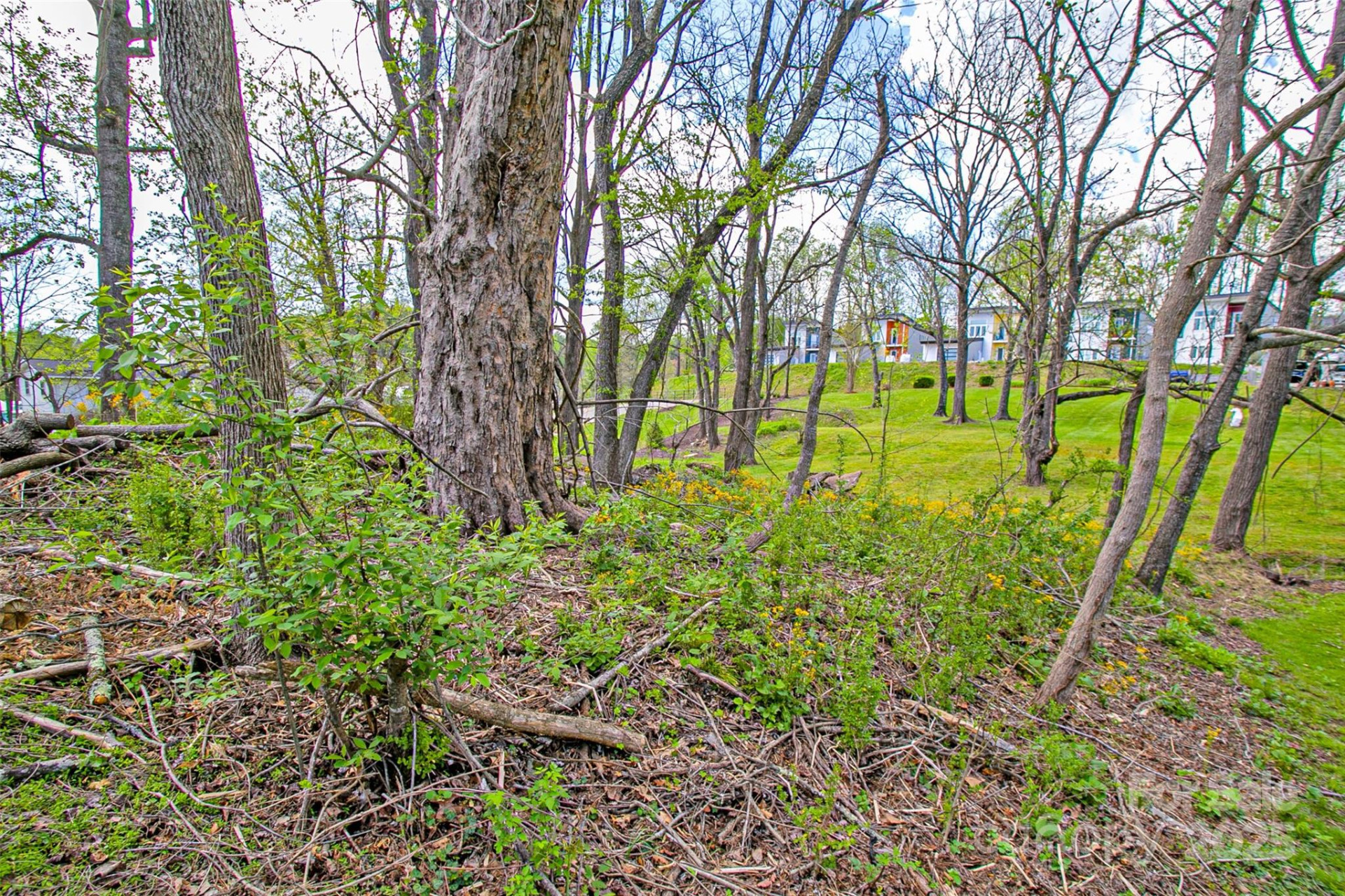 80 Carver Street - Photo 22