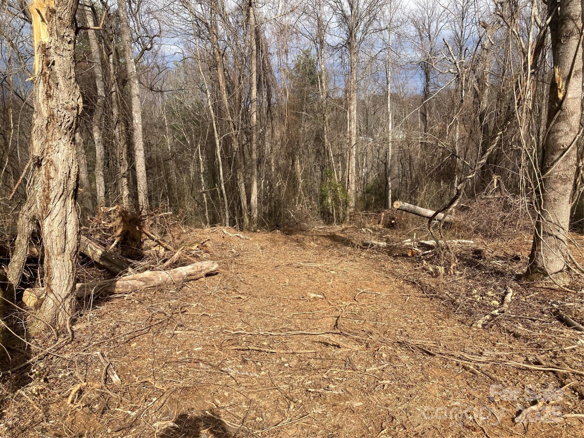 1638 Continental Divide Road #1 - Photo 2