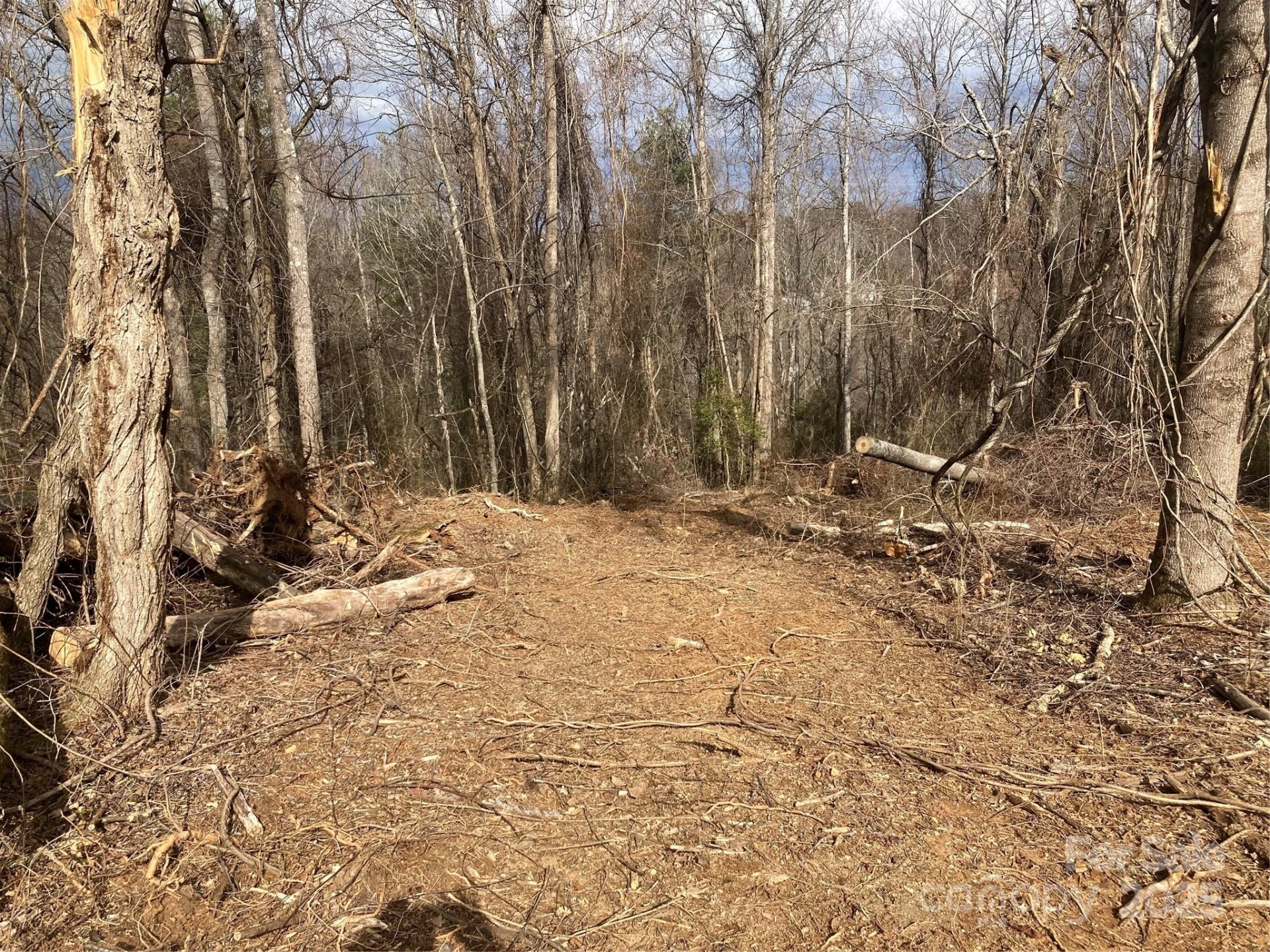 1638 Continental Divide Road #1 - Photo 2