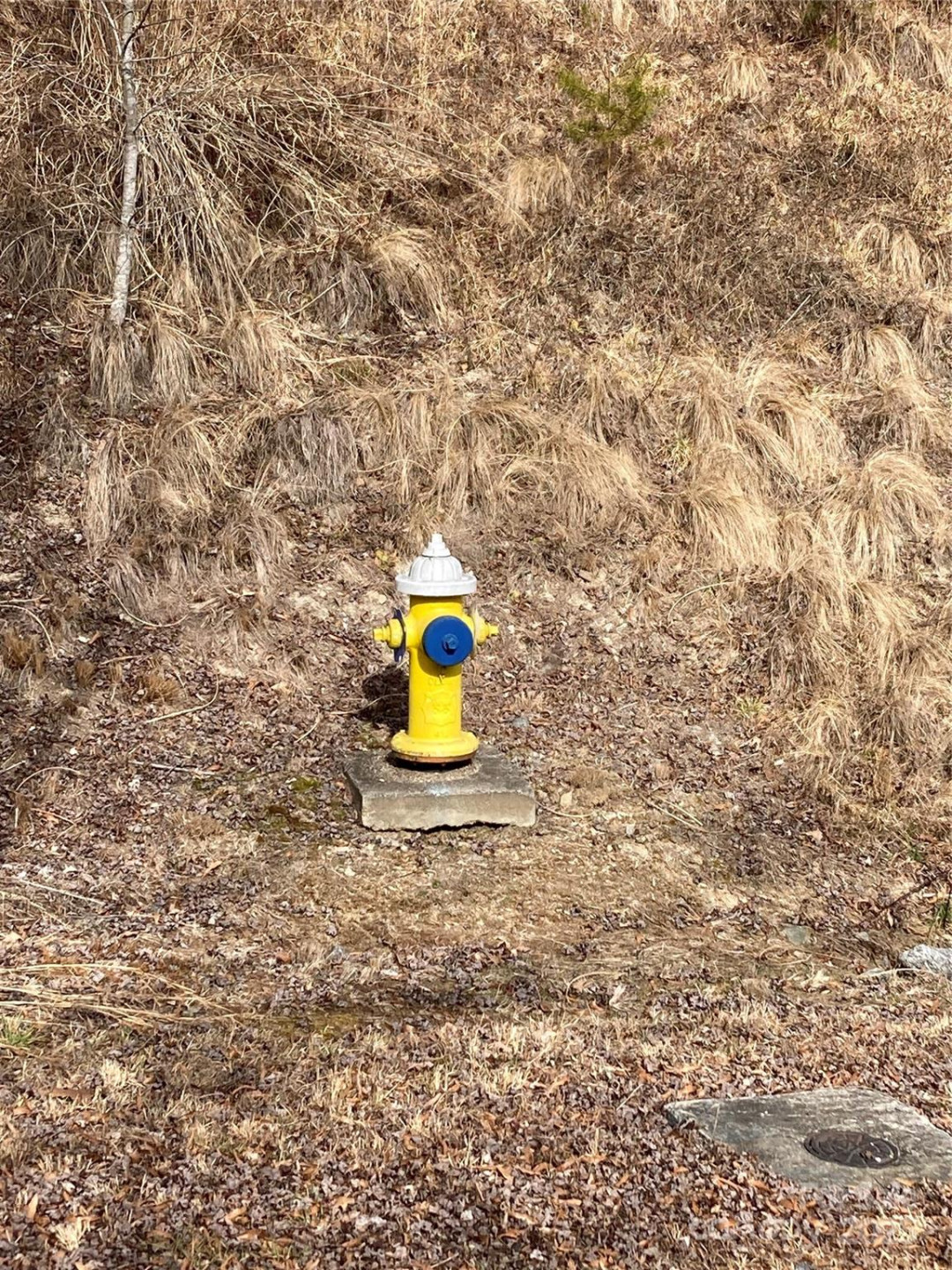 1638 Continental Divide Road #1 - Photo 12