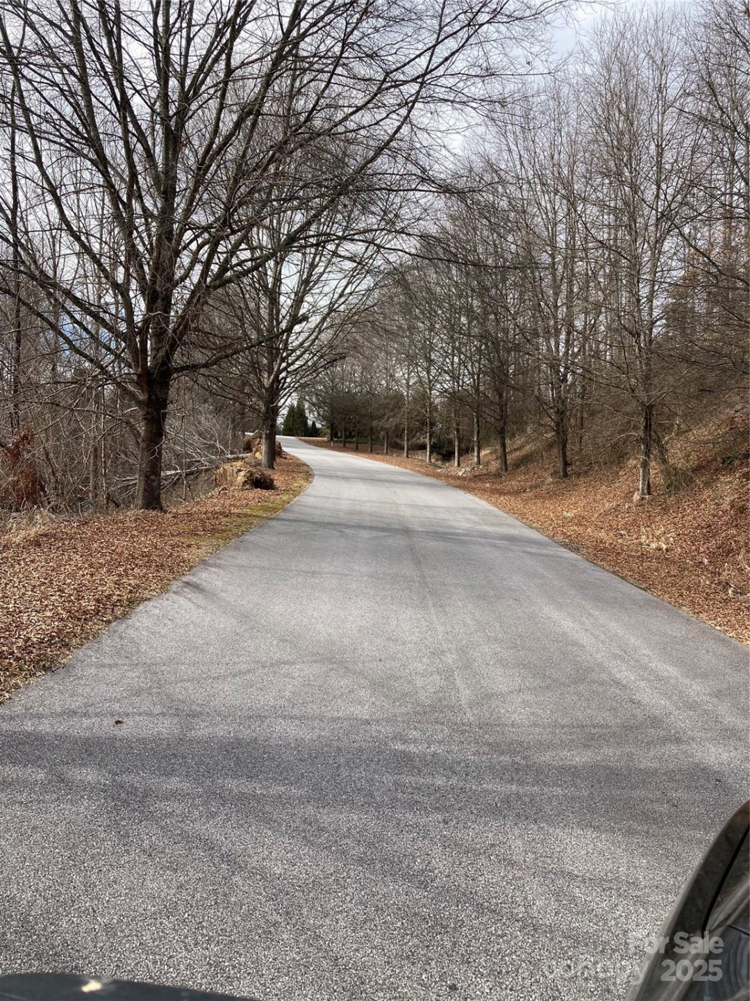 1638 Continental Divide Road #1 - Photo 13