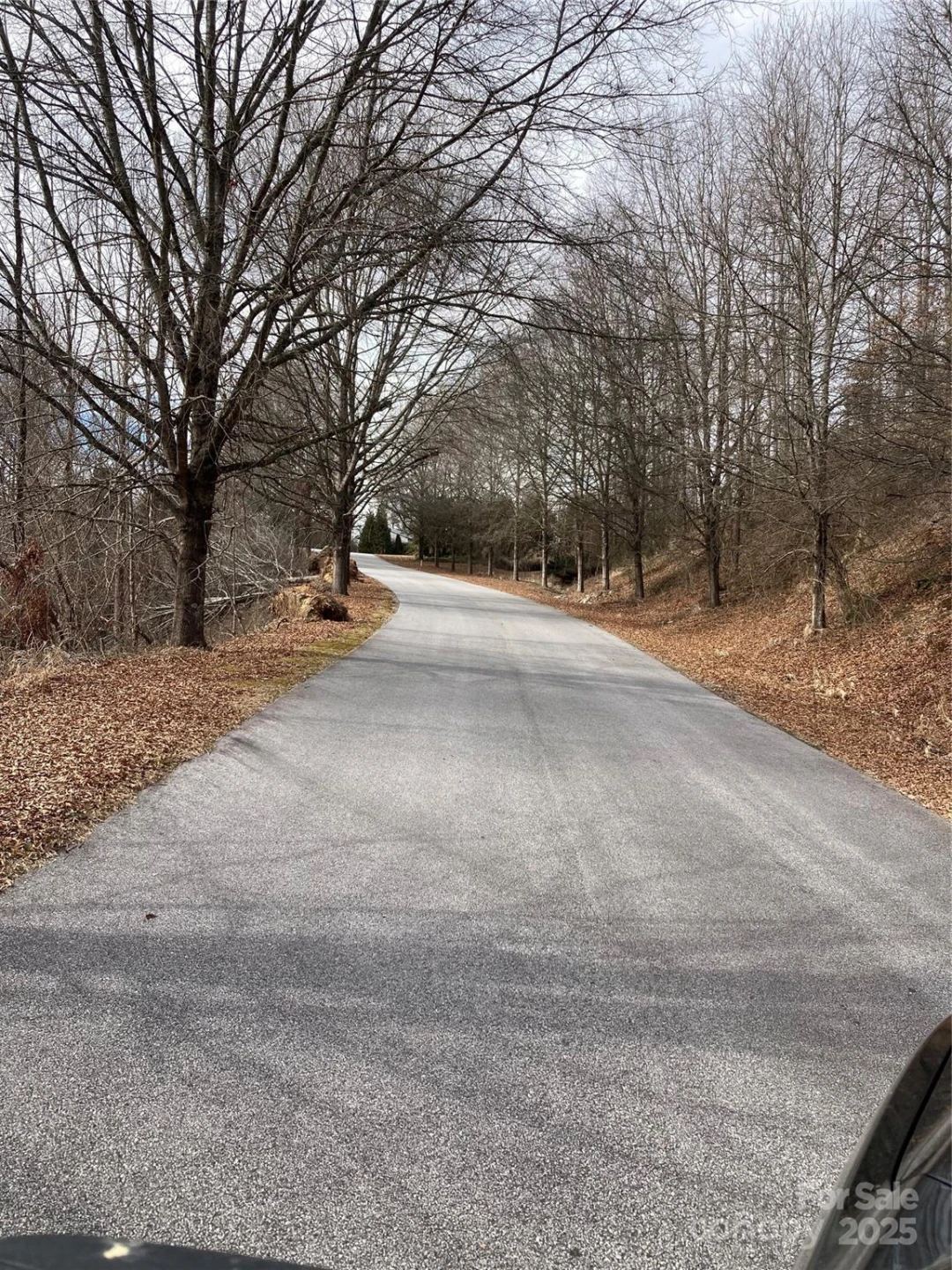 1638 Continental Divide Road #1 - Photo 13