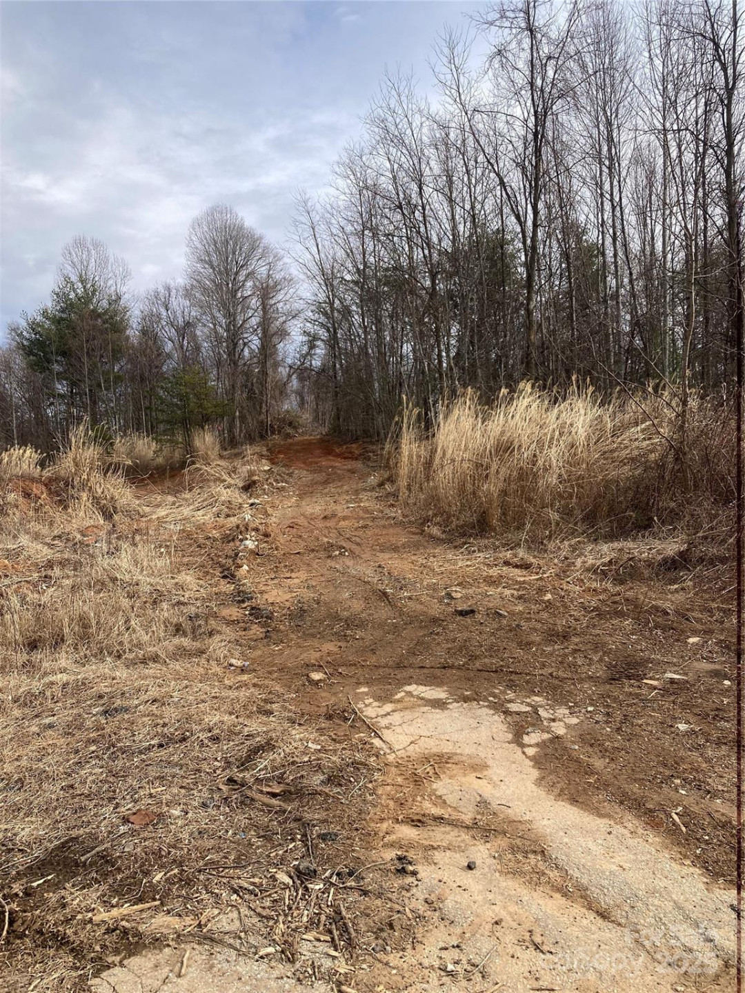 1638 Continental Divide Road #1 - Photo 3