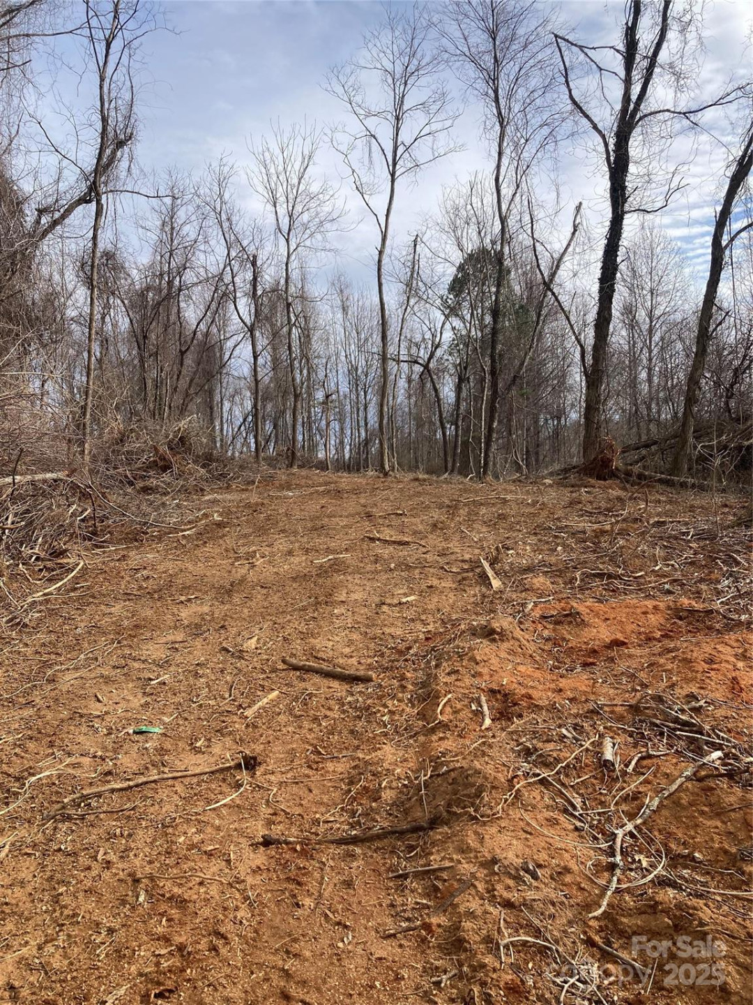 1638 Continental Divide Road #1 - Photo 4