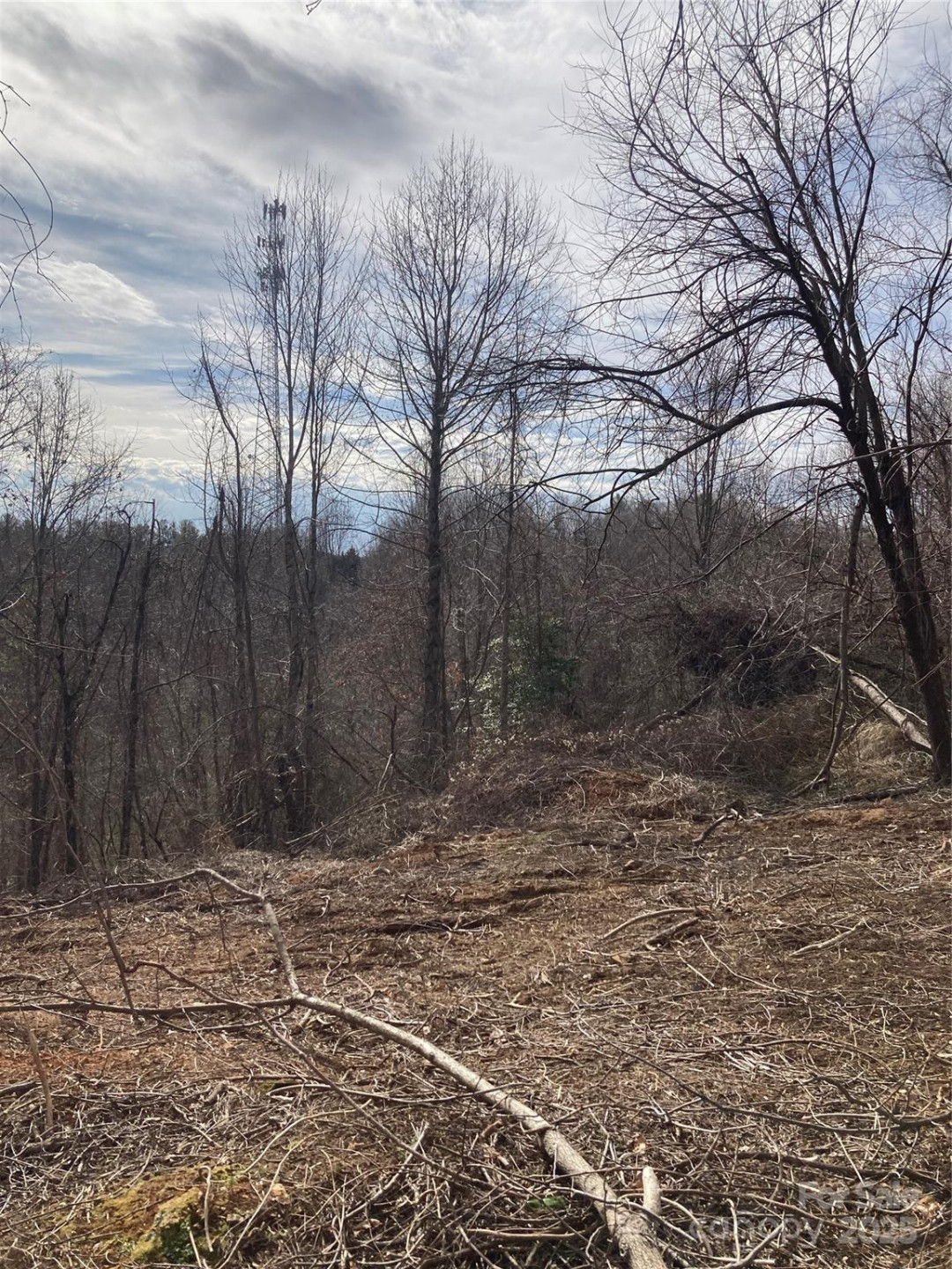 1638 Continental Divide Road #1 - Photo 5