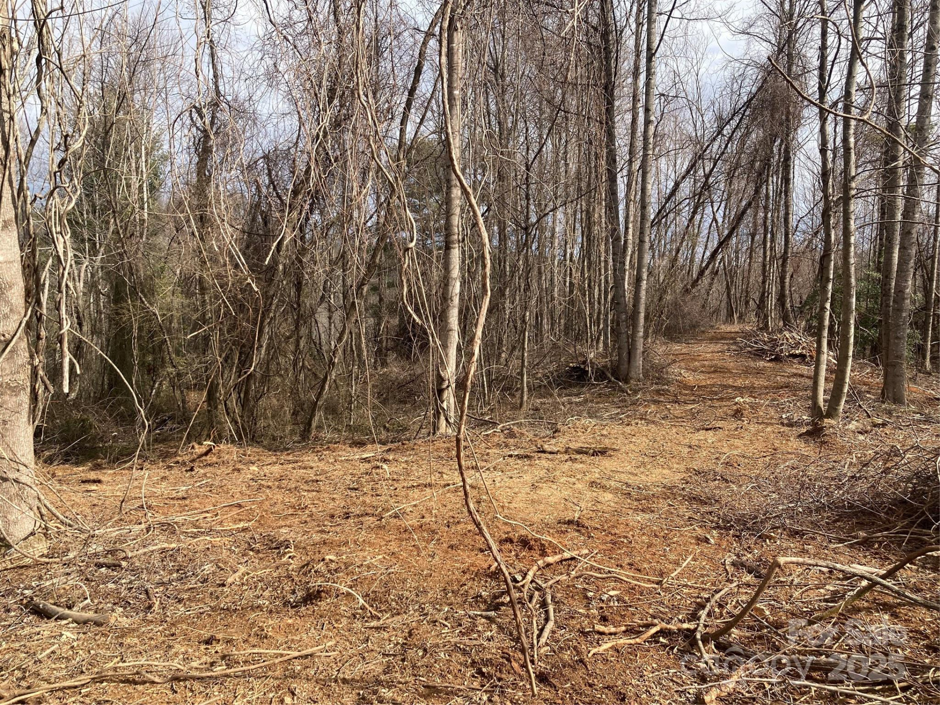 1638 Continental Divide Road #1 - Photo 6