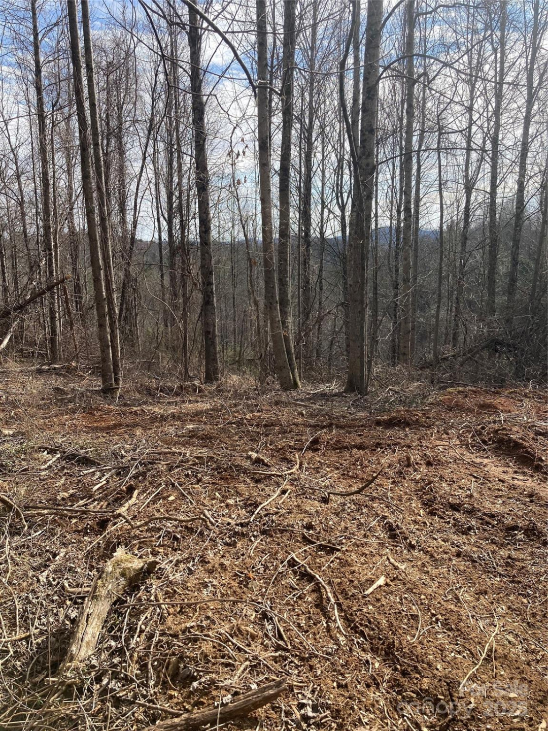 1638 Continental Divide Road #1 - Photo 7